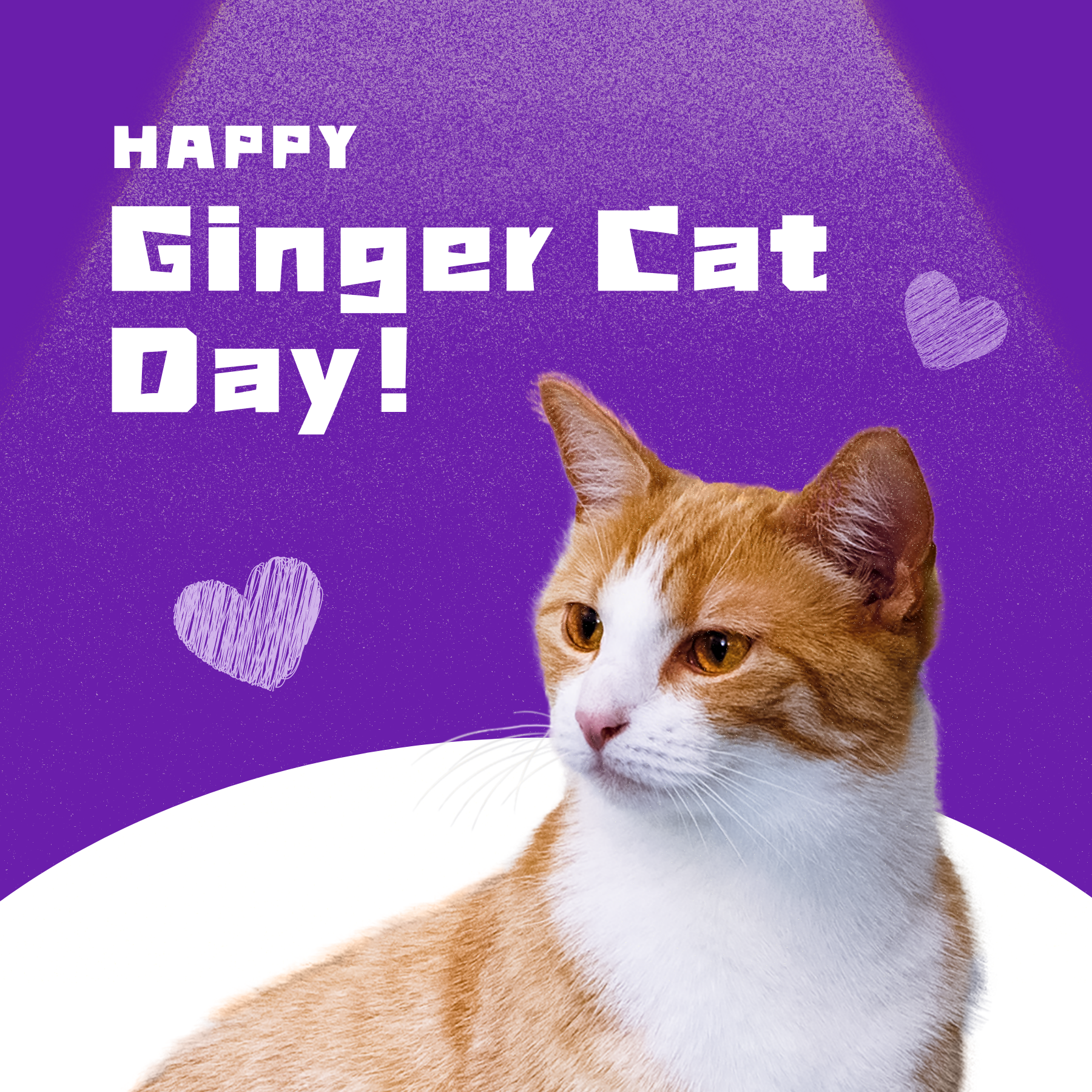 Happy Ginger Cat Day