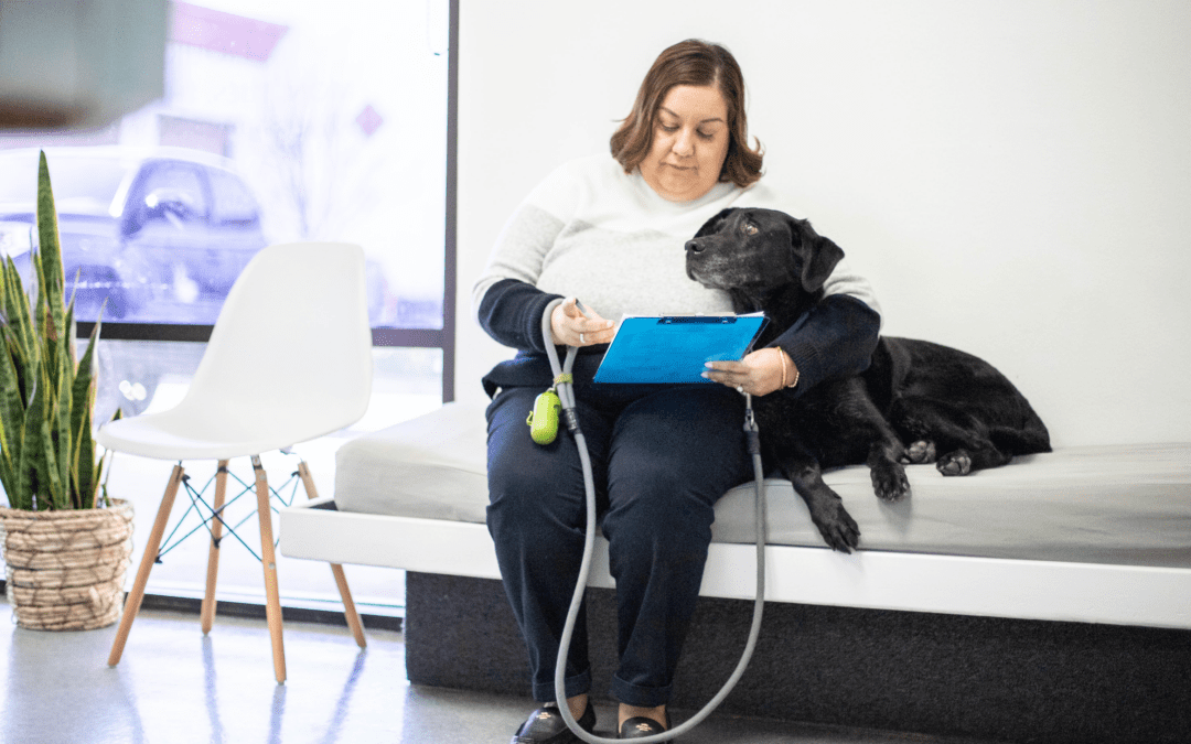 6 Reasons Why Your Clinic Needs a Veterinary Digital Form Builder