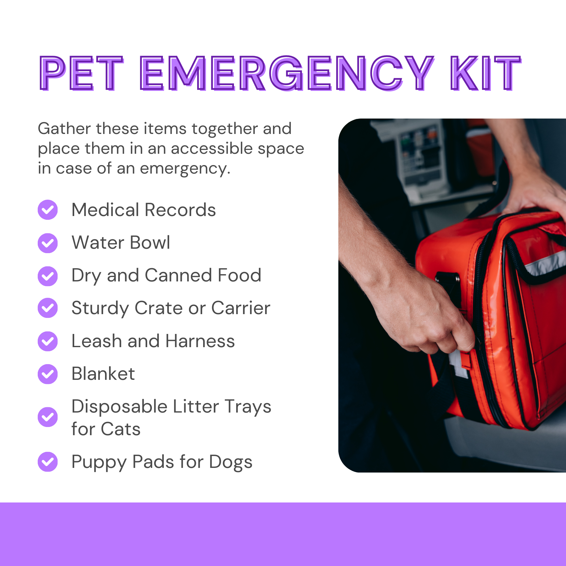 Pet Emergency Kit