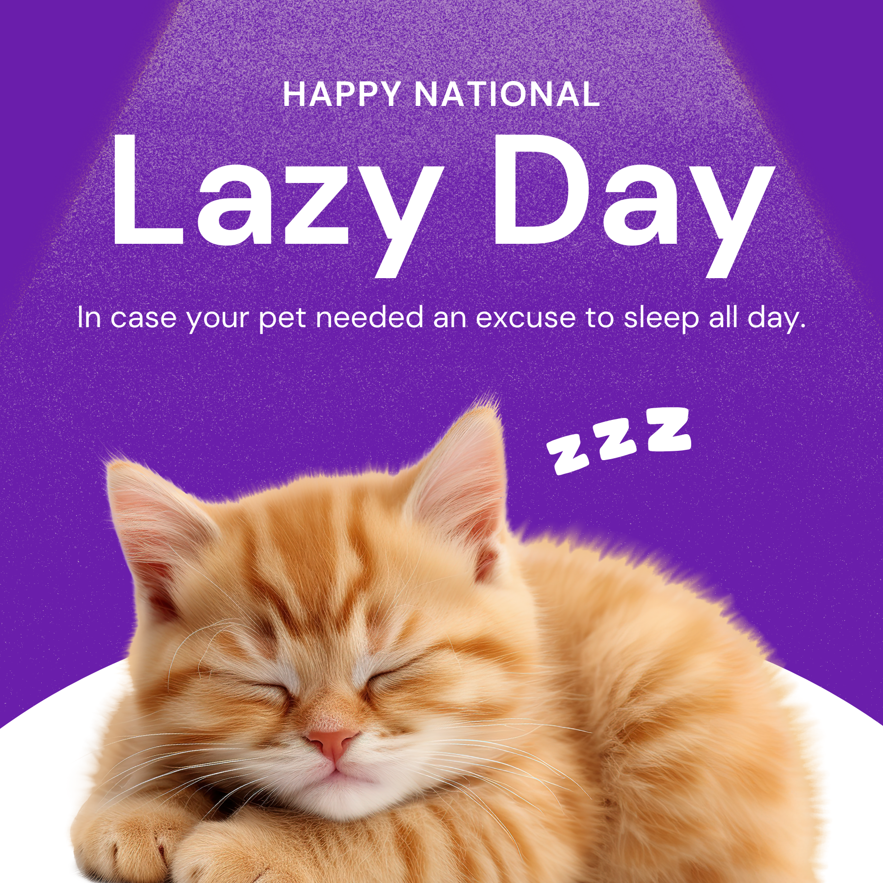 Happy National Lazy Day