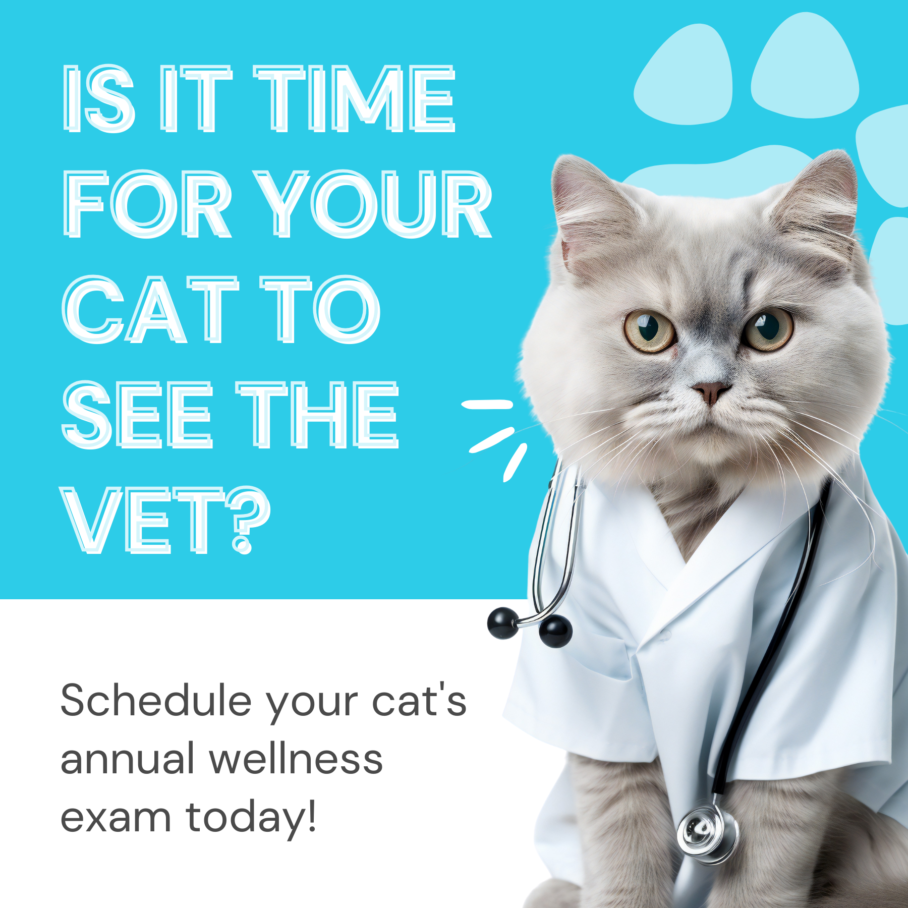 Is it time for your cat to see the vet?