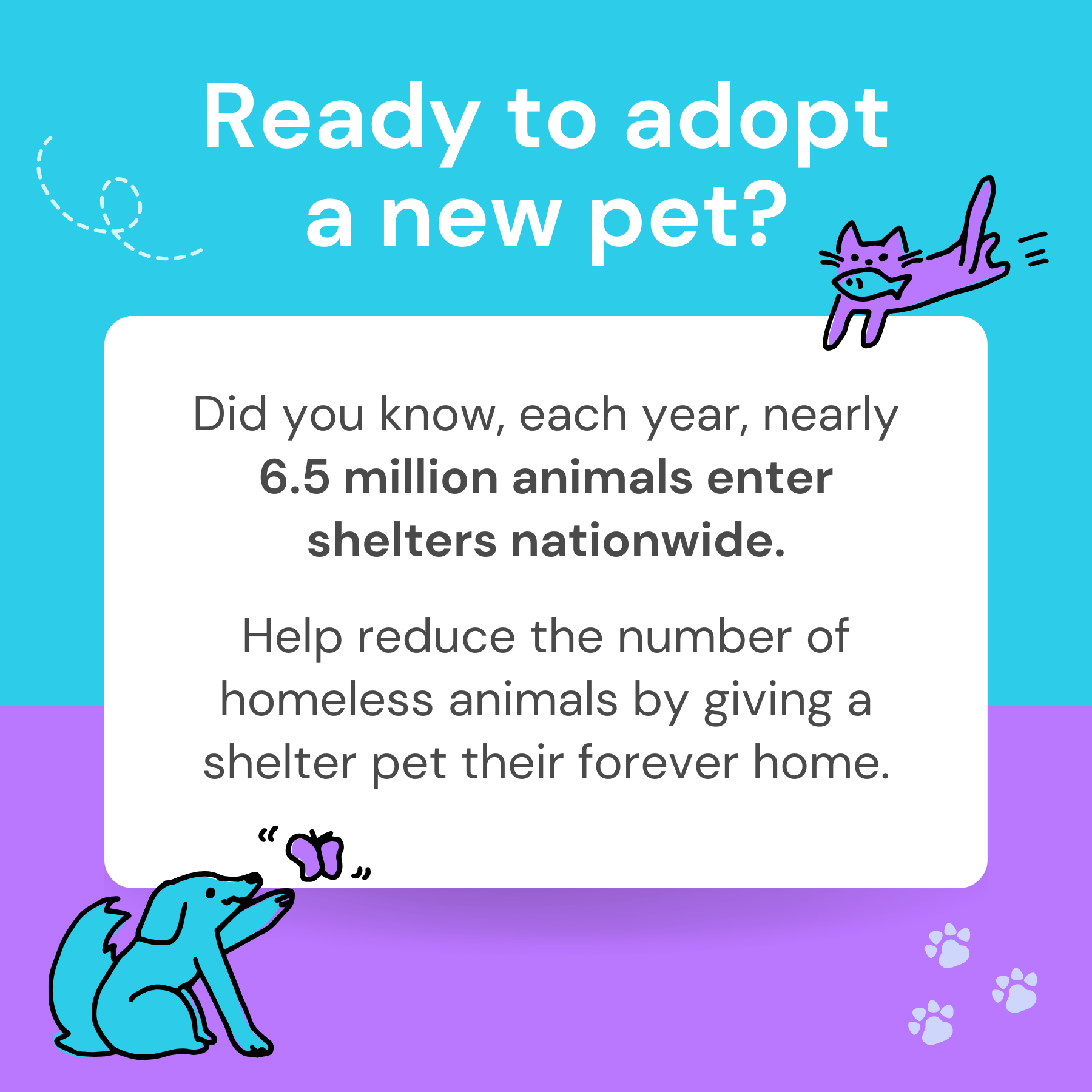 Ready to Adopt a New Pet?