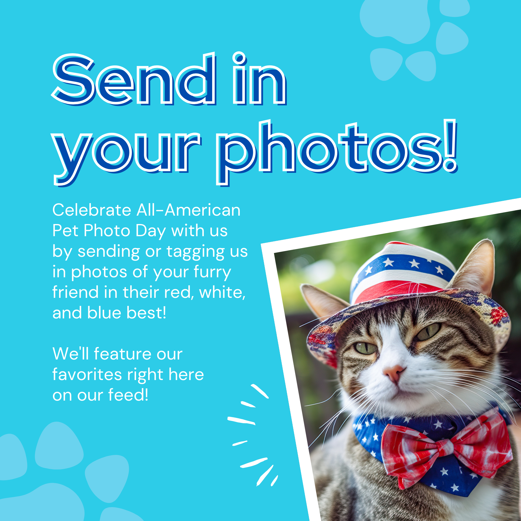 All-American Pet Photo Day