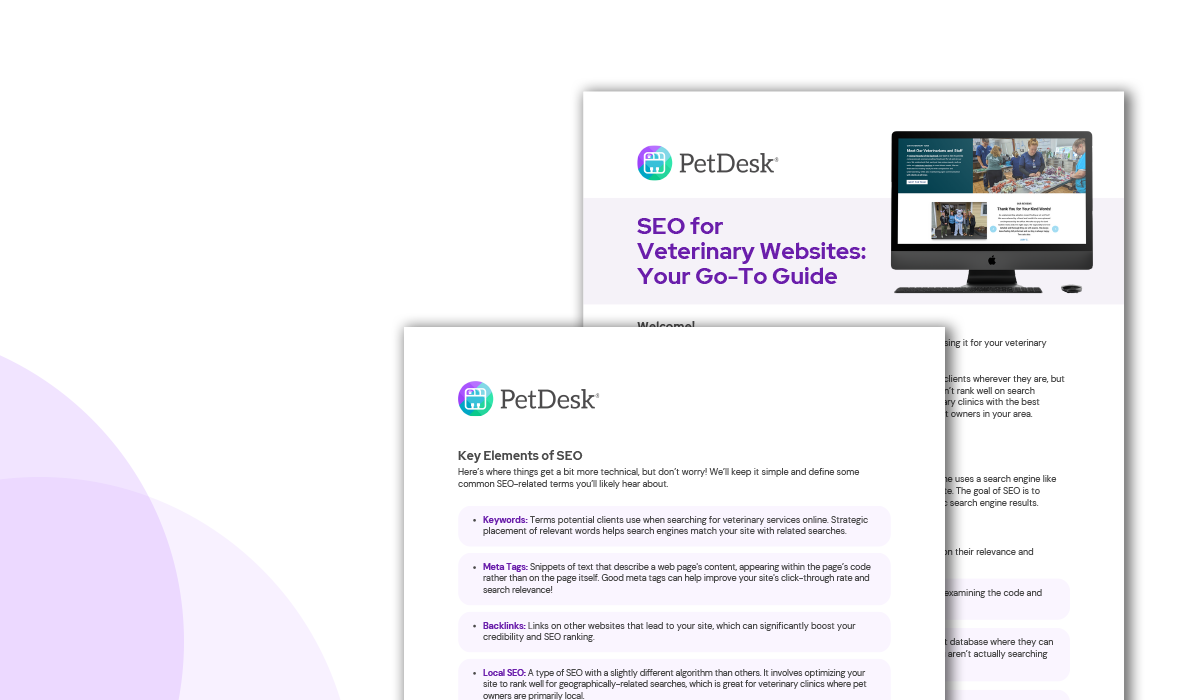 SEO For Veterinary Websites: Your Go-To Guide | PetDesk