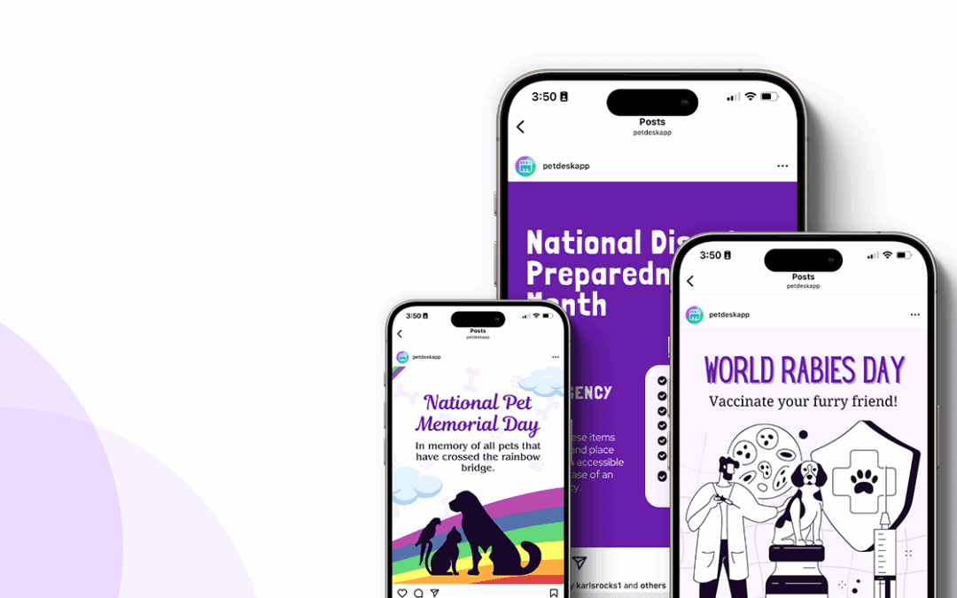 September 2025 Freebies