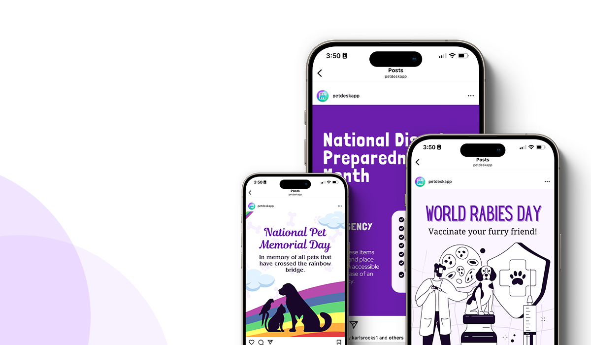 September 2025 Freebies