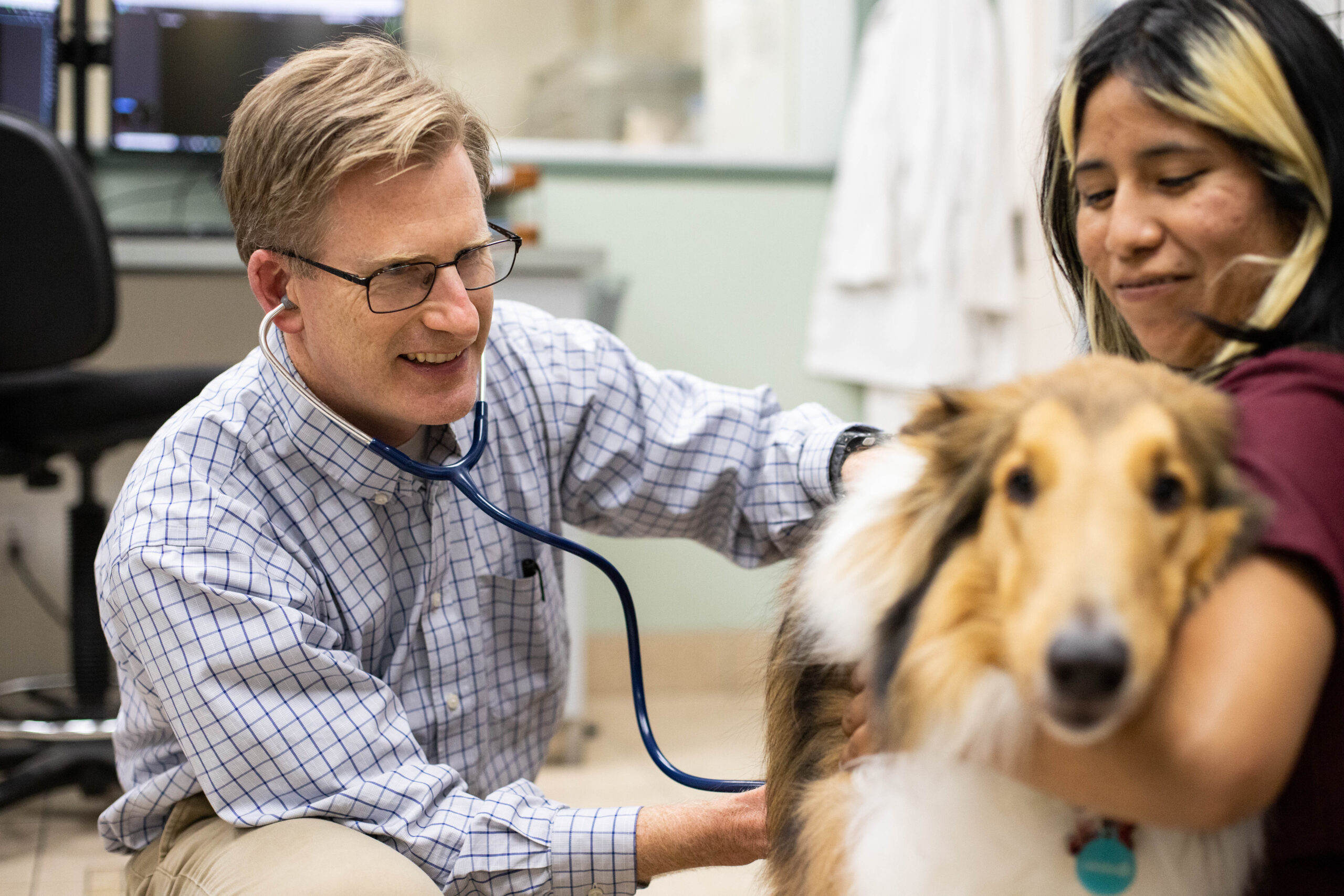 Pet parent using their phone to book an appointment while sitting with their dog