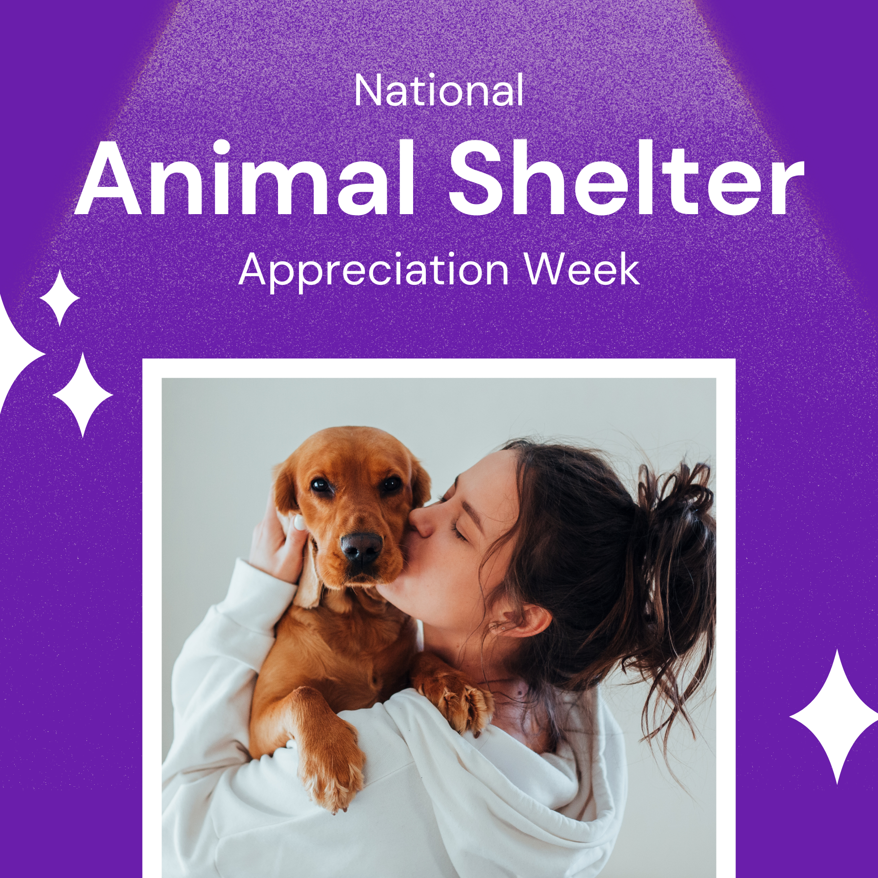 National Animal Shelter Appreciation Week