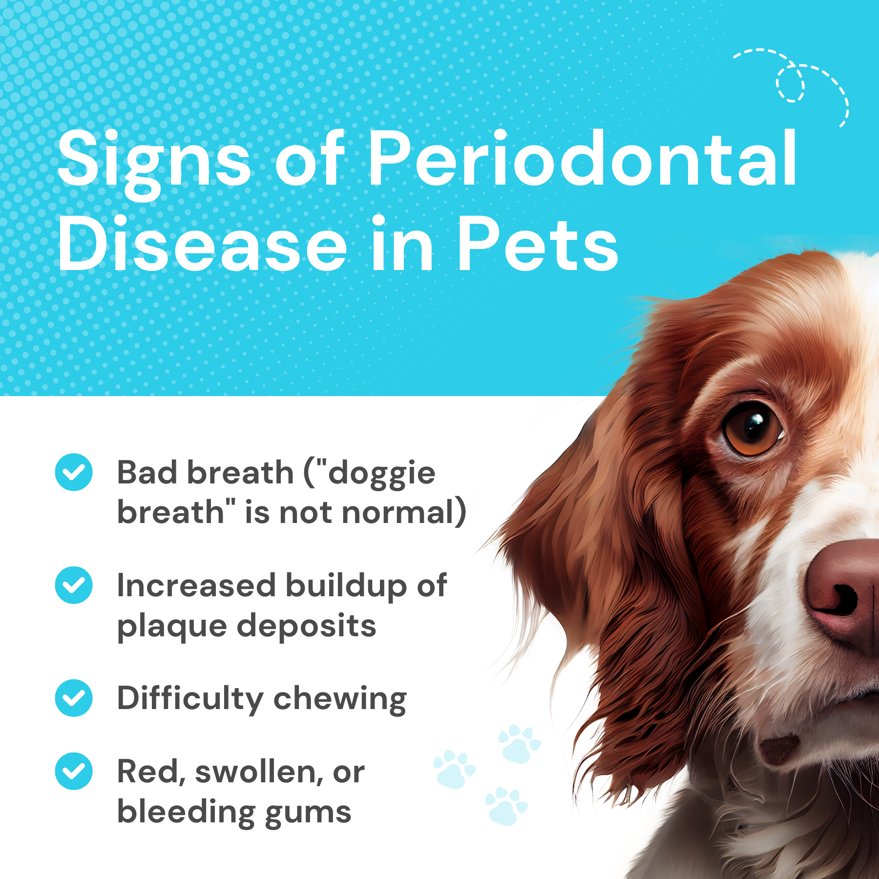 Signs of Periodontal Disease in Pets