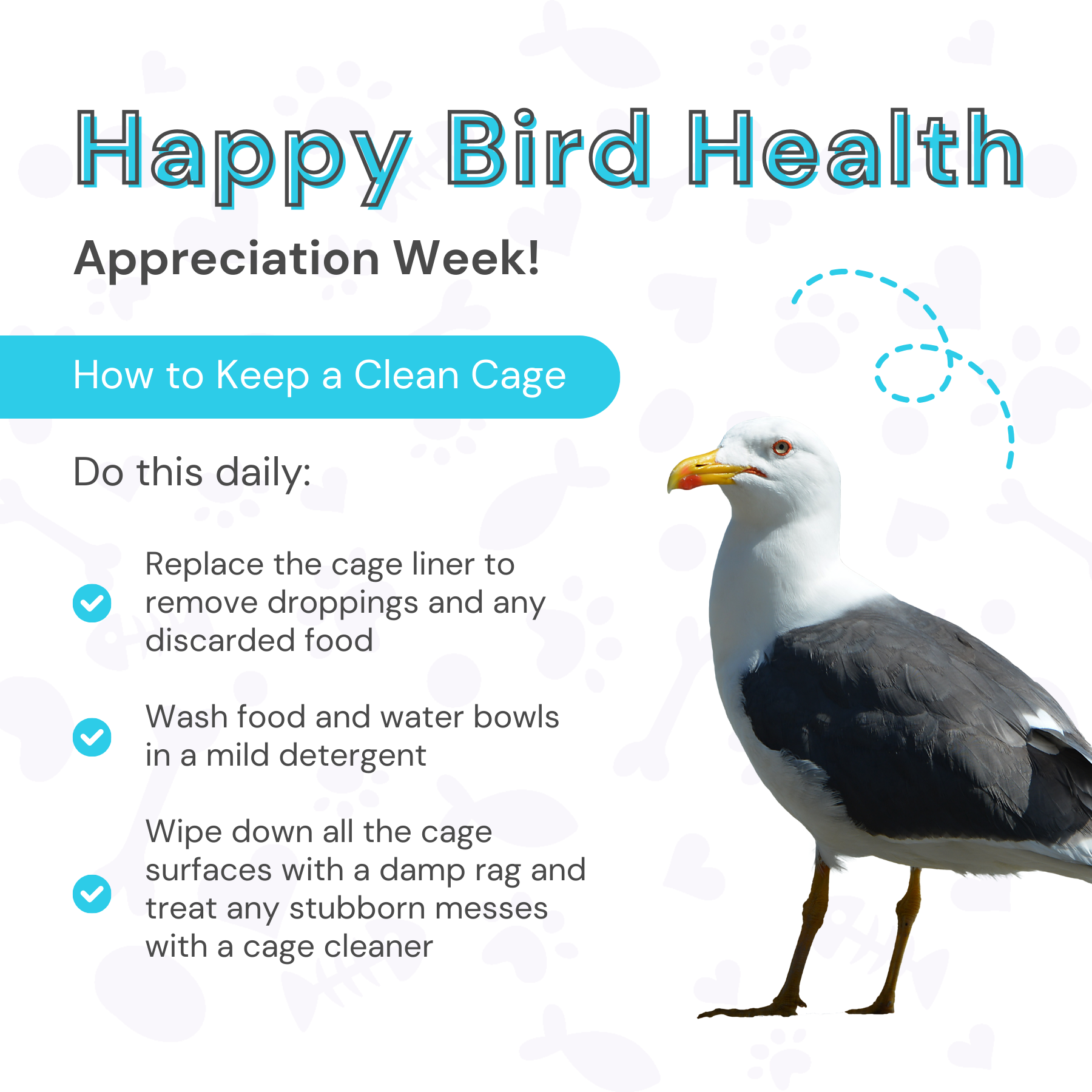 Bird Health Appreciation Week