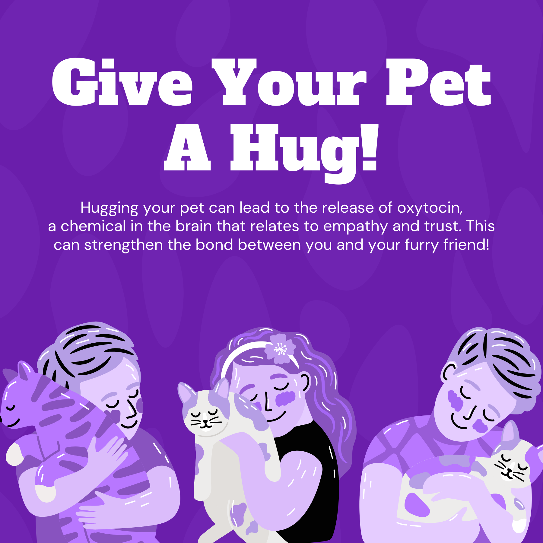 Give your pet a hug