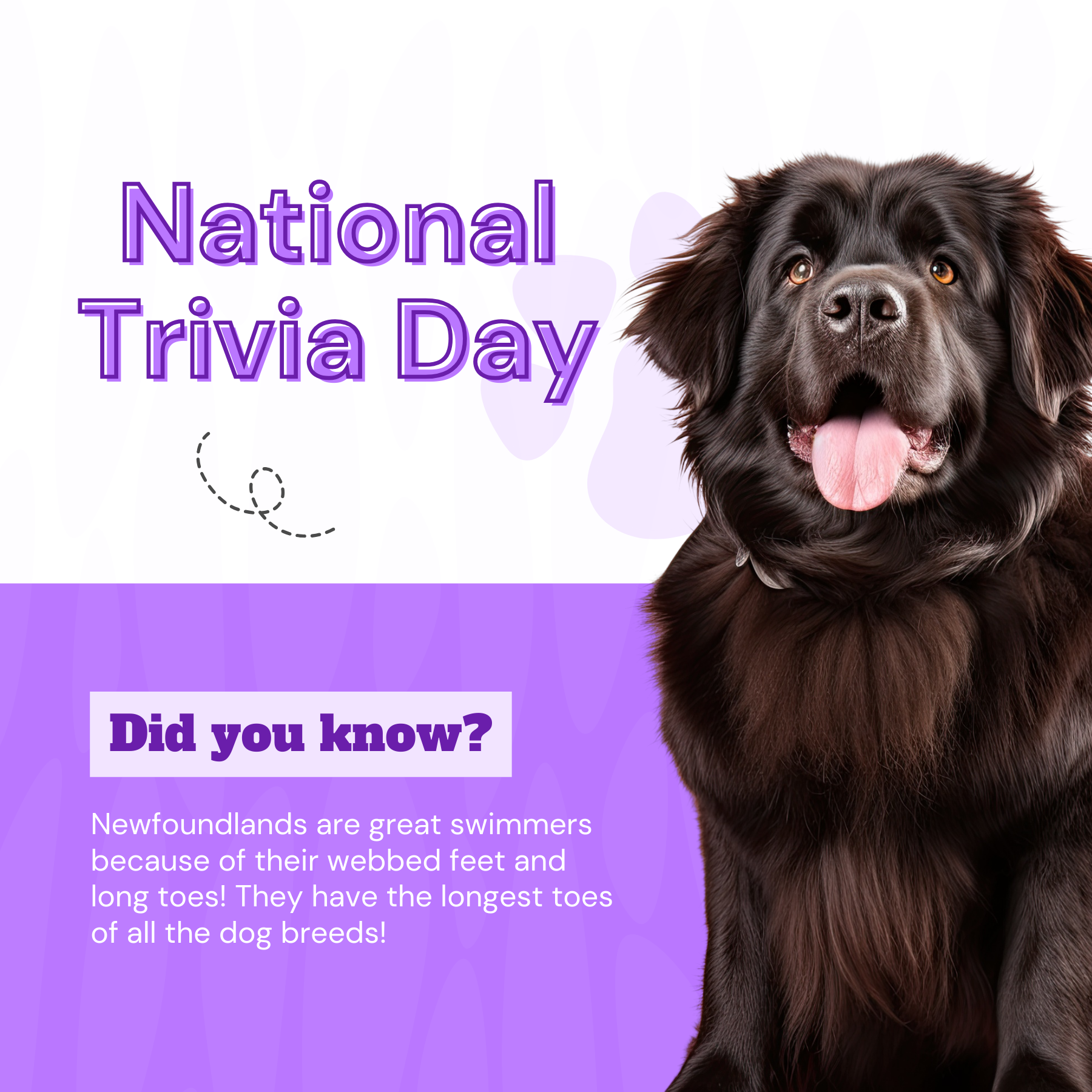 National Trivia Day