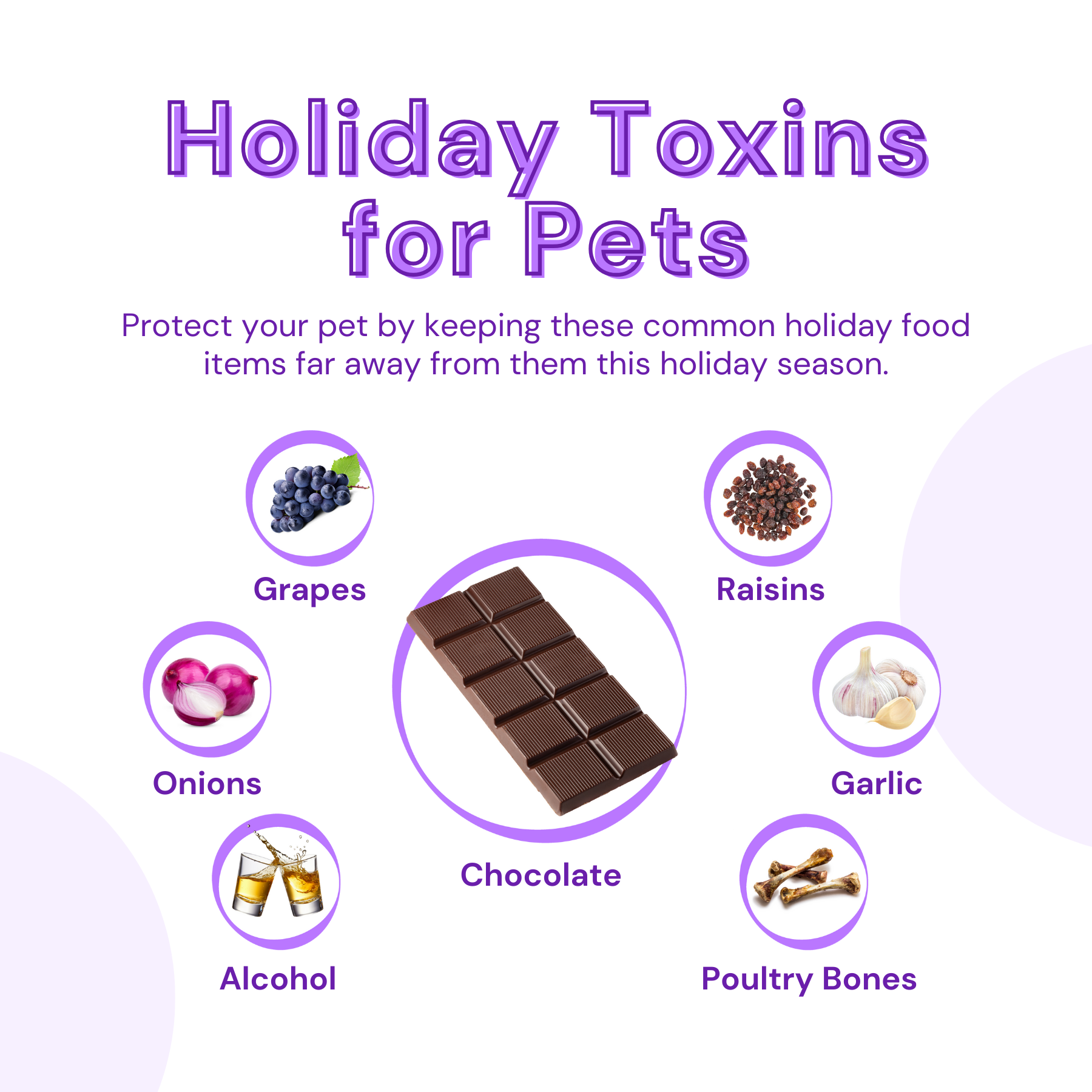 Holiday Toxins for Pets