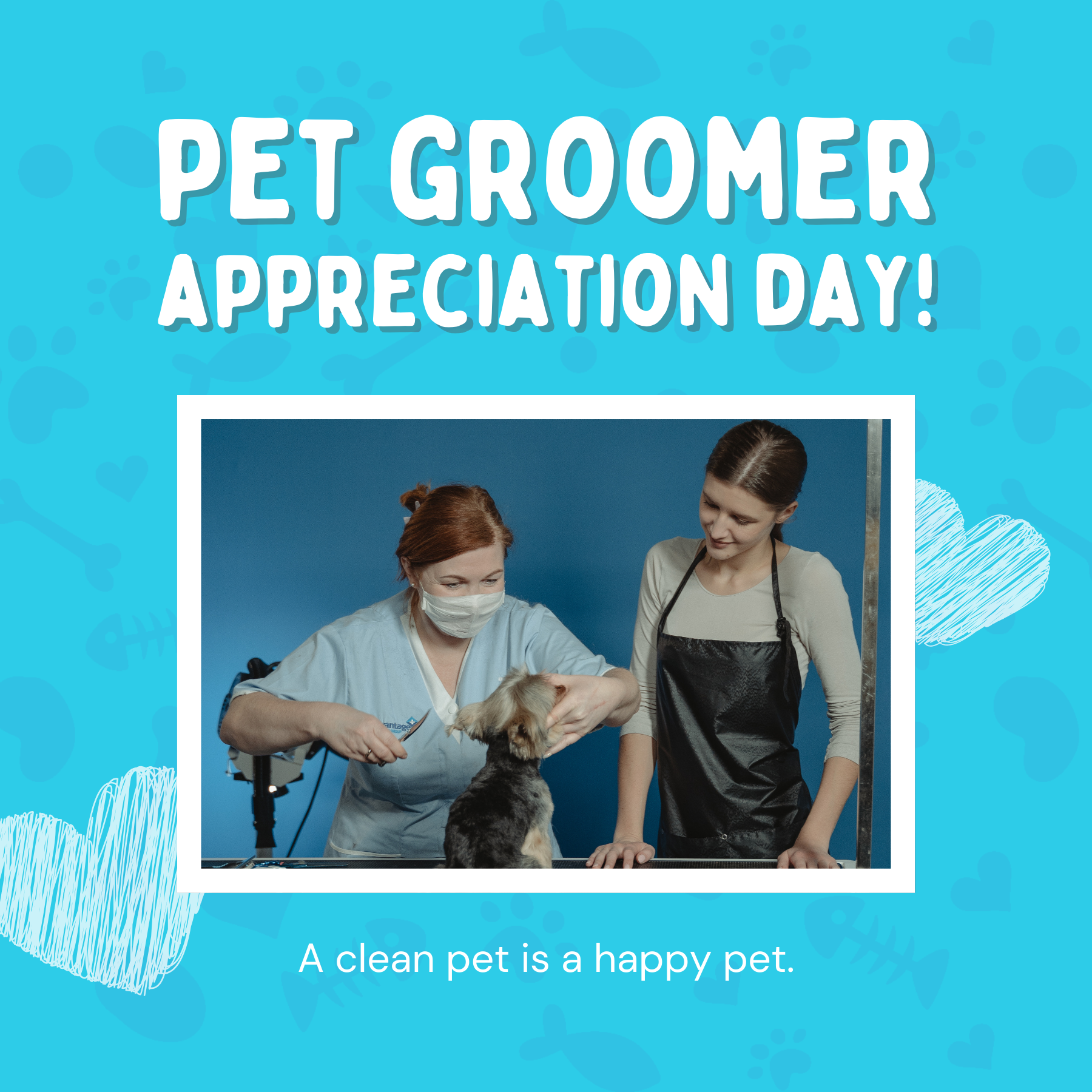 International Pet Groomer Appreciation Day