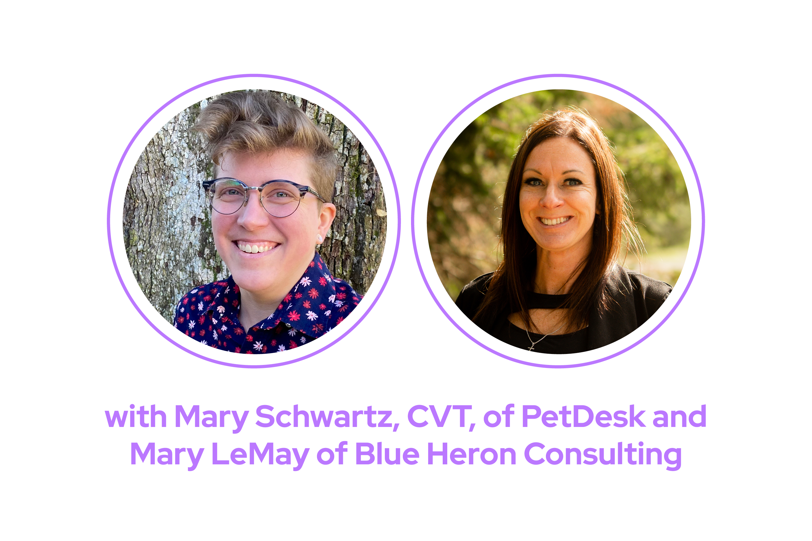 Live Webinar with Mary Schwartz and Mary LeMay