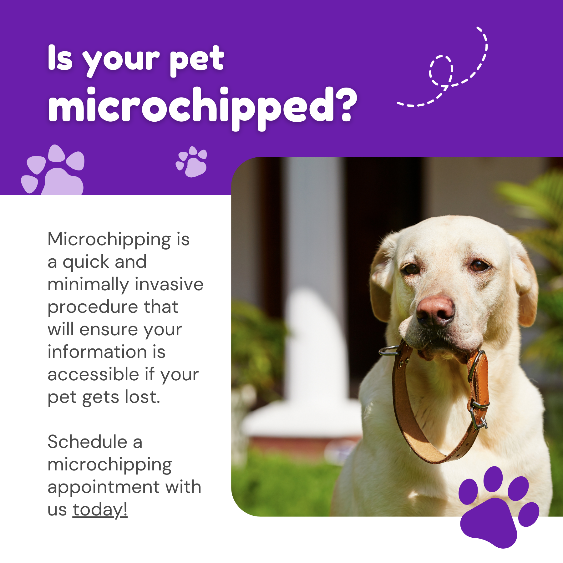 Is your pet microchipped?