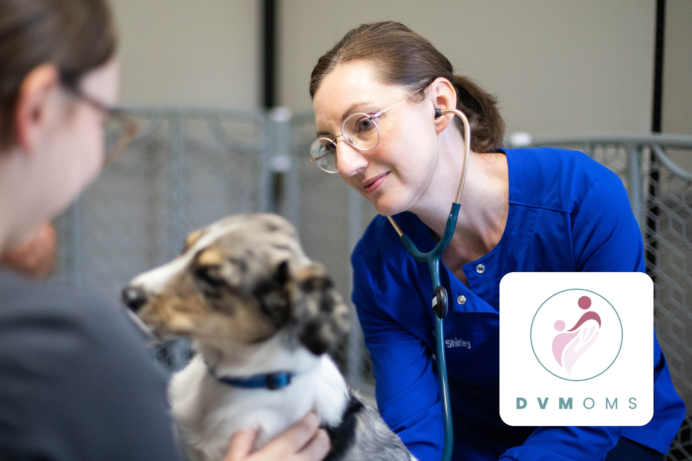 Image of a female veterinarian examining a puppy with the DVMoms logo on top