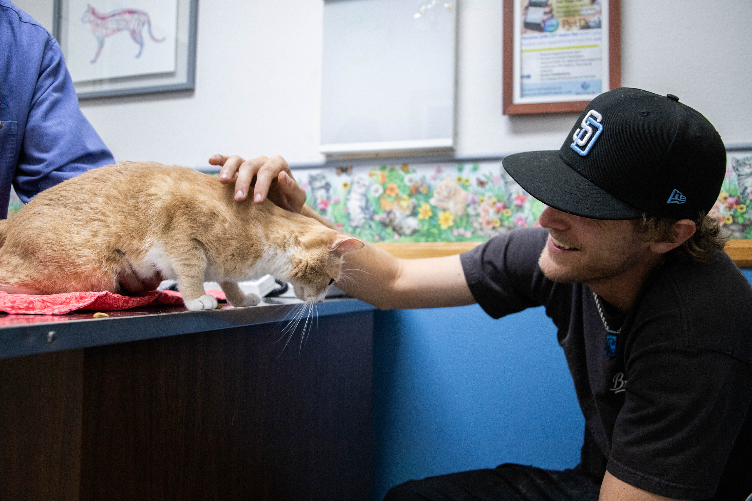 Client happily petting cat while in the exam room with veterinarian 