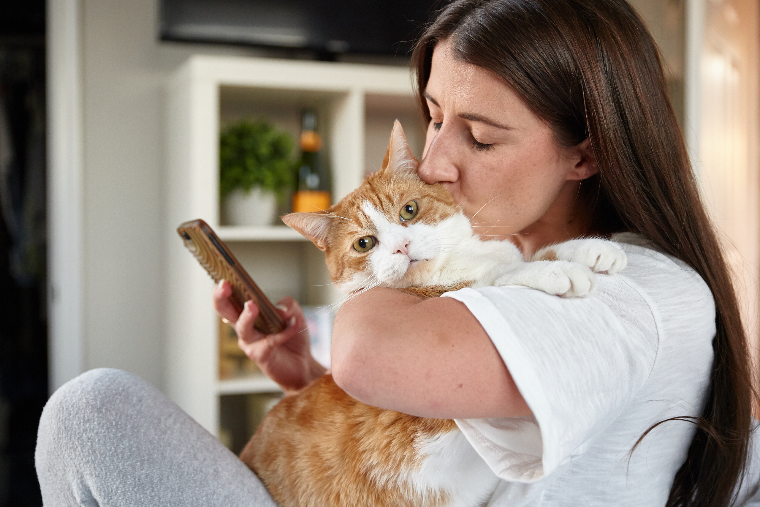 Pet parent kissing their cat on the head while using their mobile phone