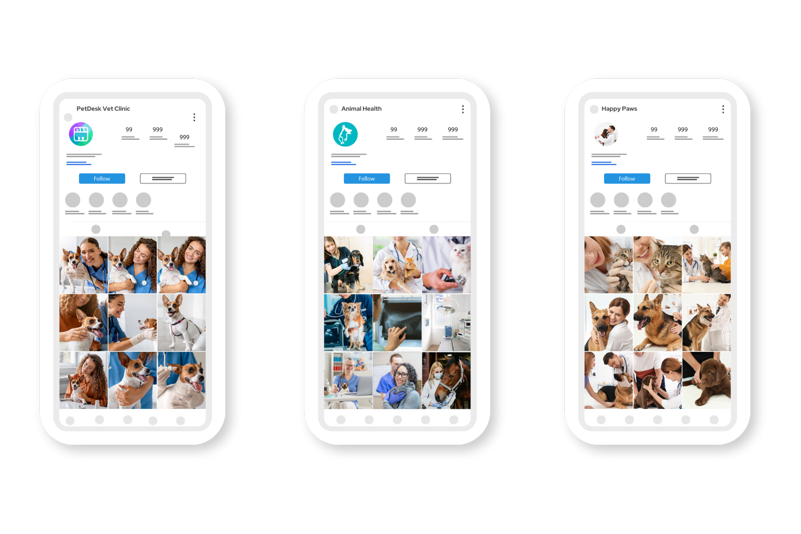 Mockups of Social Media Platforms for Veterinary Clinics