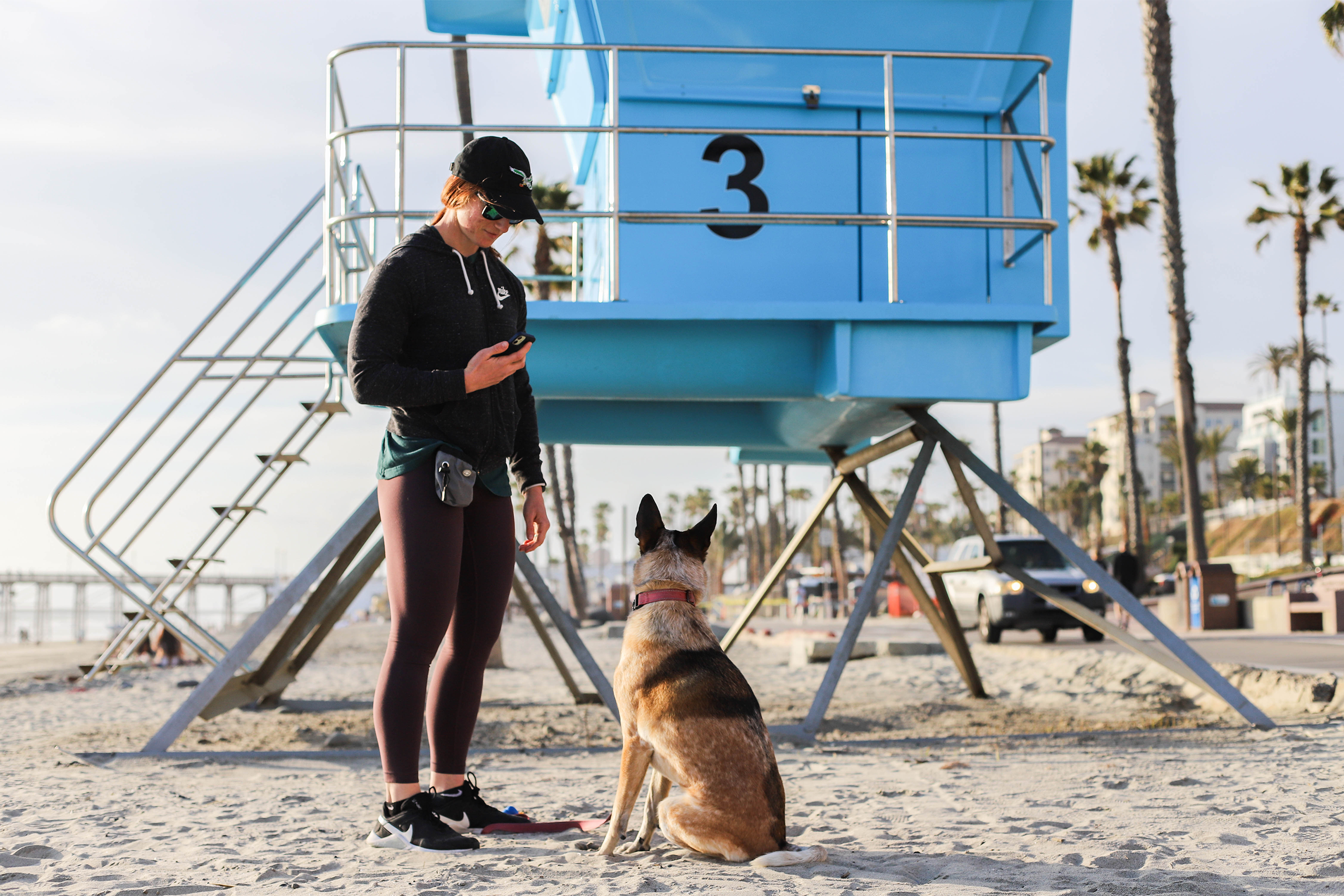 Pet parent using phone while walking their dog on the beach