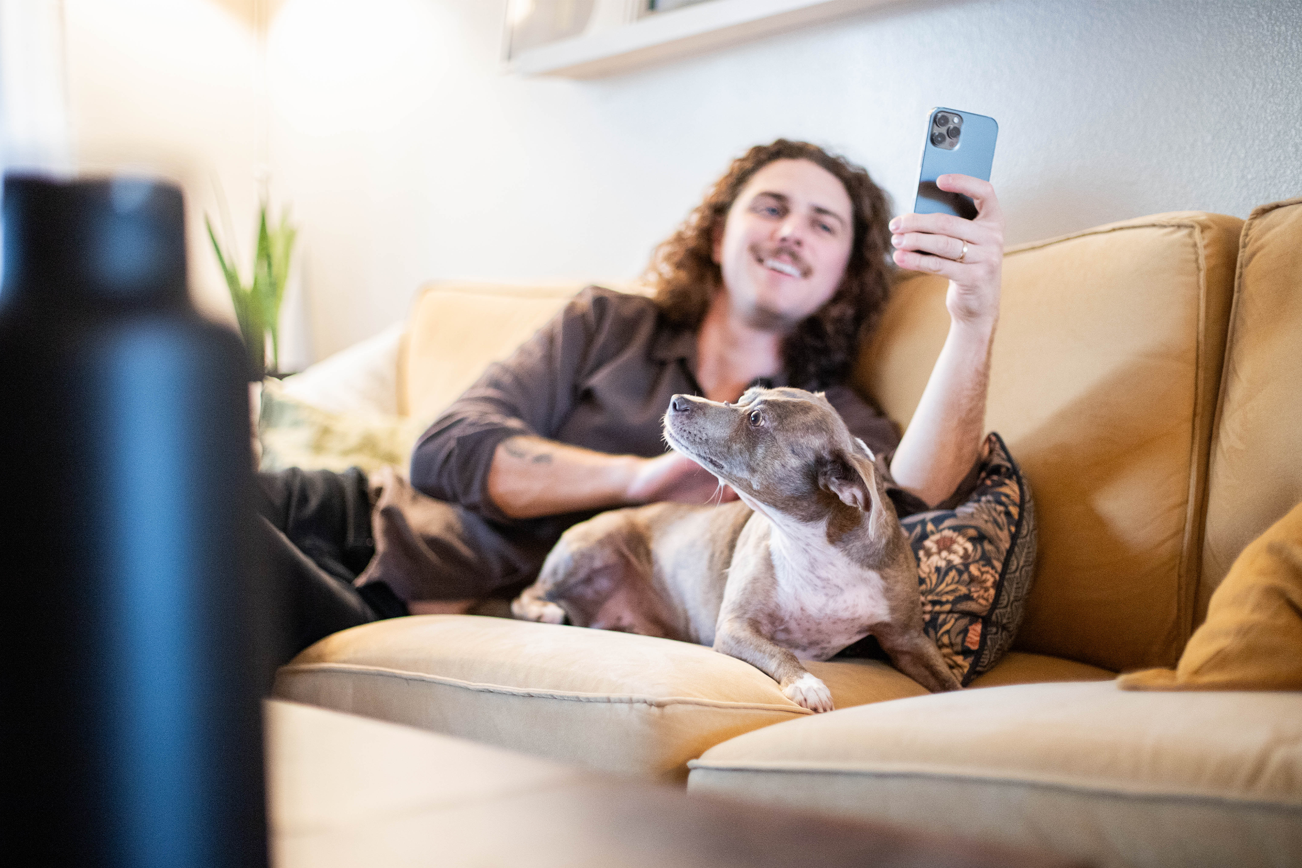 Pet parent lying on couch with dog while using their phone