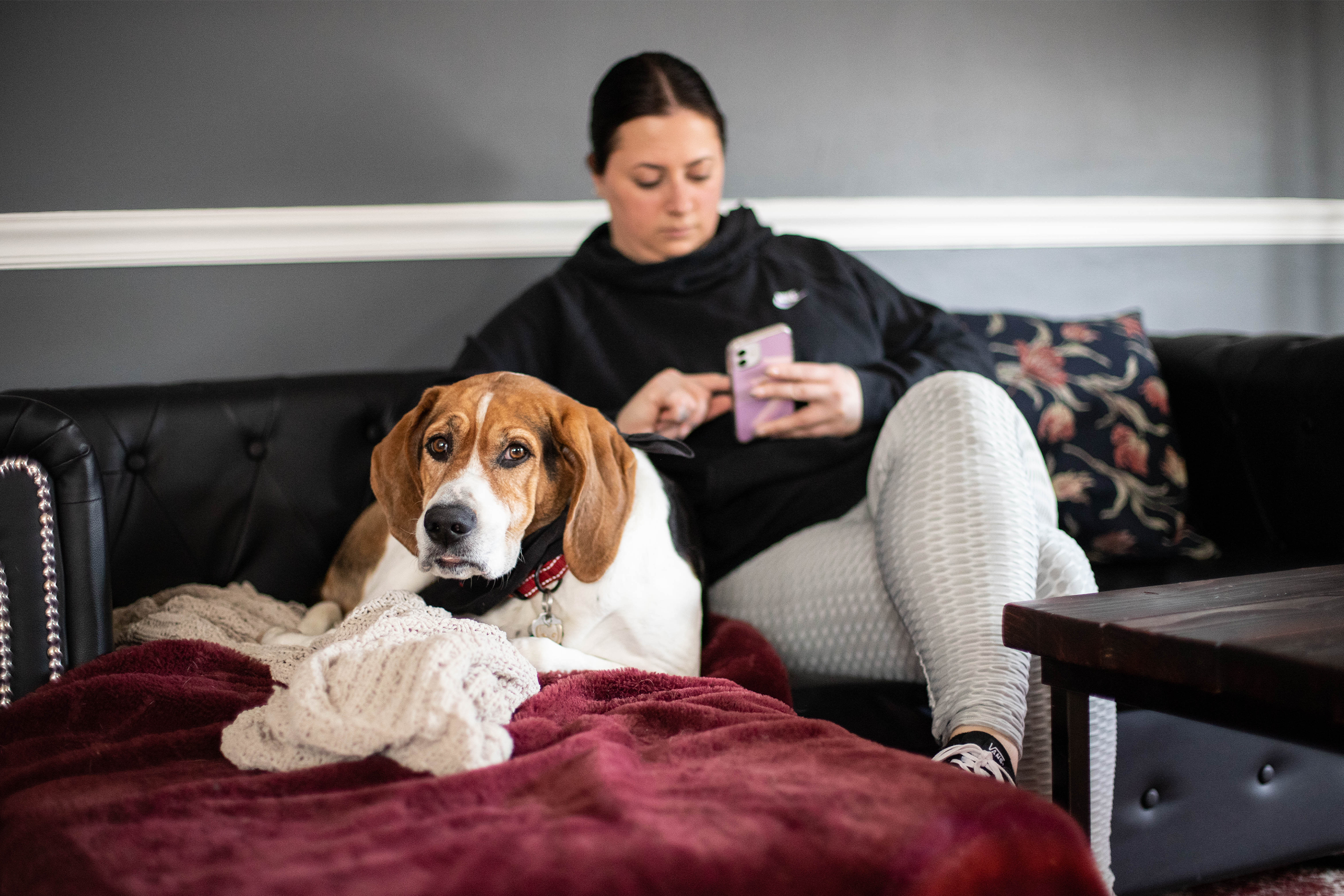 Pet parent paying an appointment deposit from their couch next to their dog