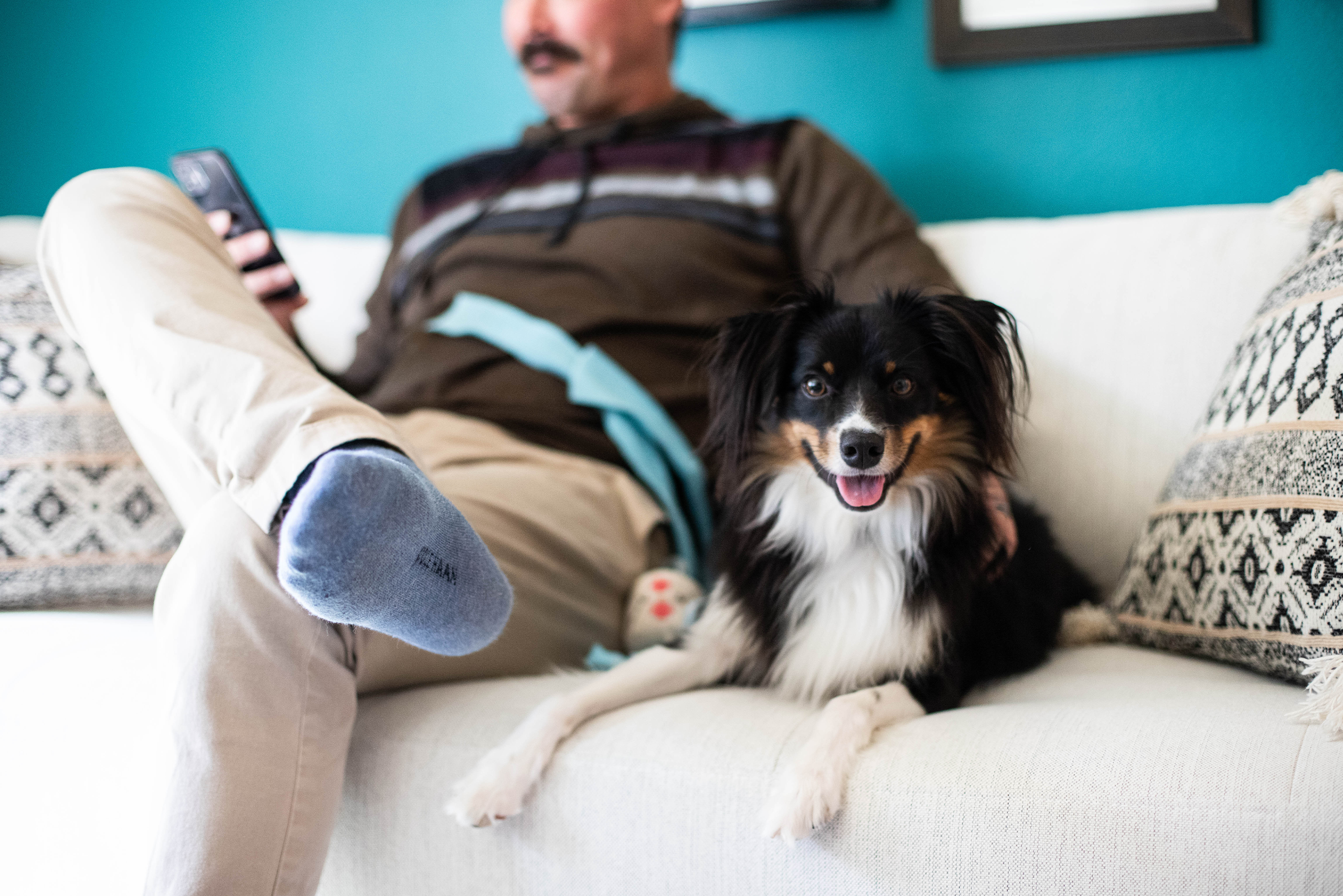 Pet parent using their cell phone while petting their dog on the couch