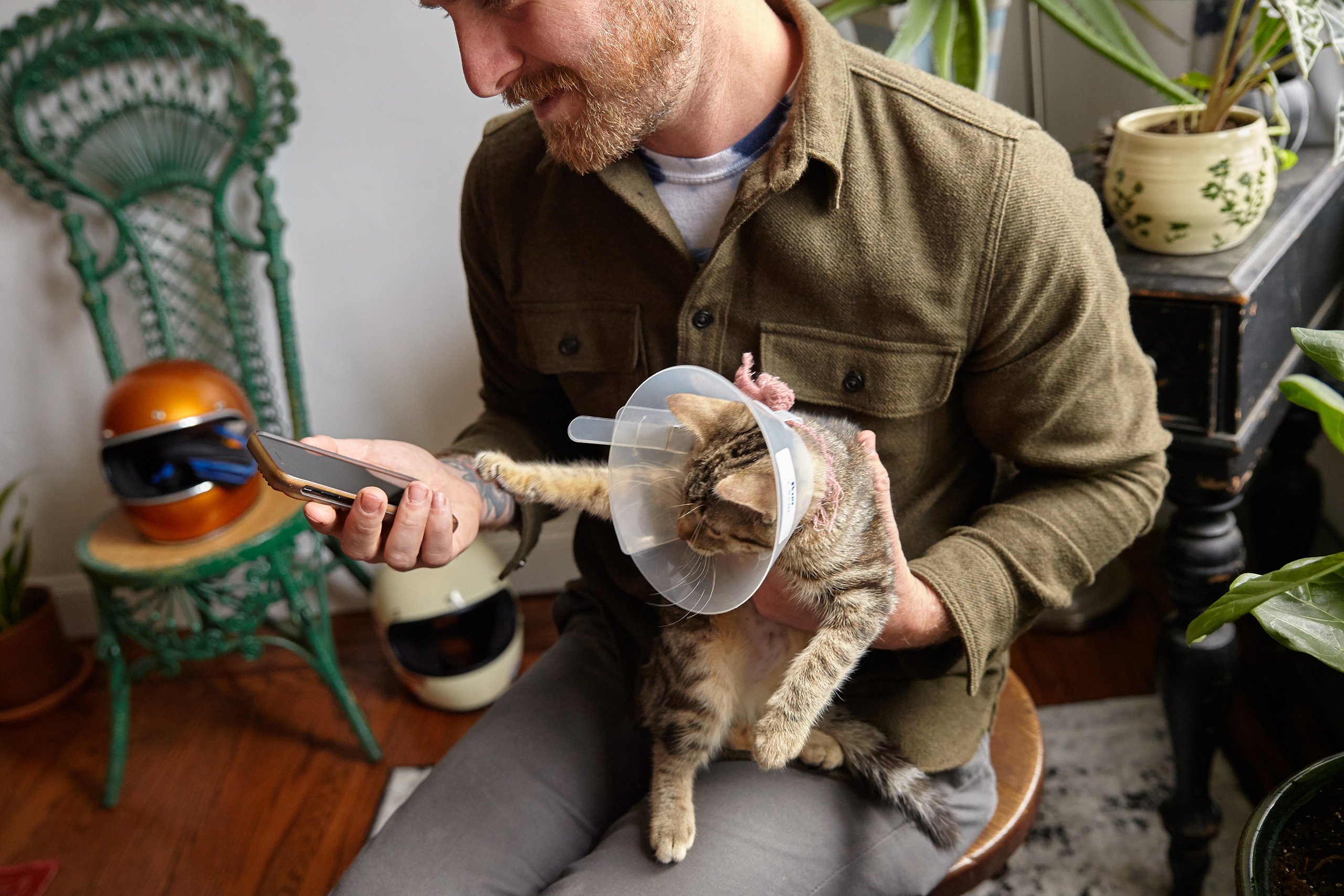 Pet parent using their phone while holding their kitten