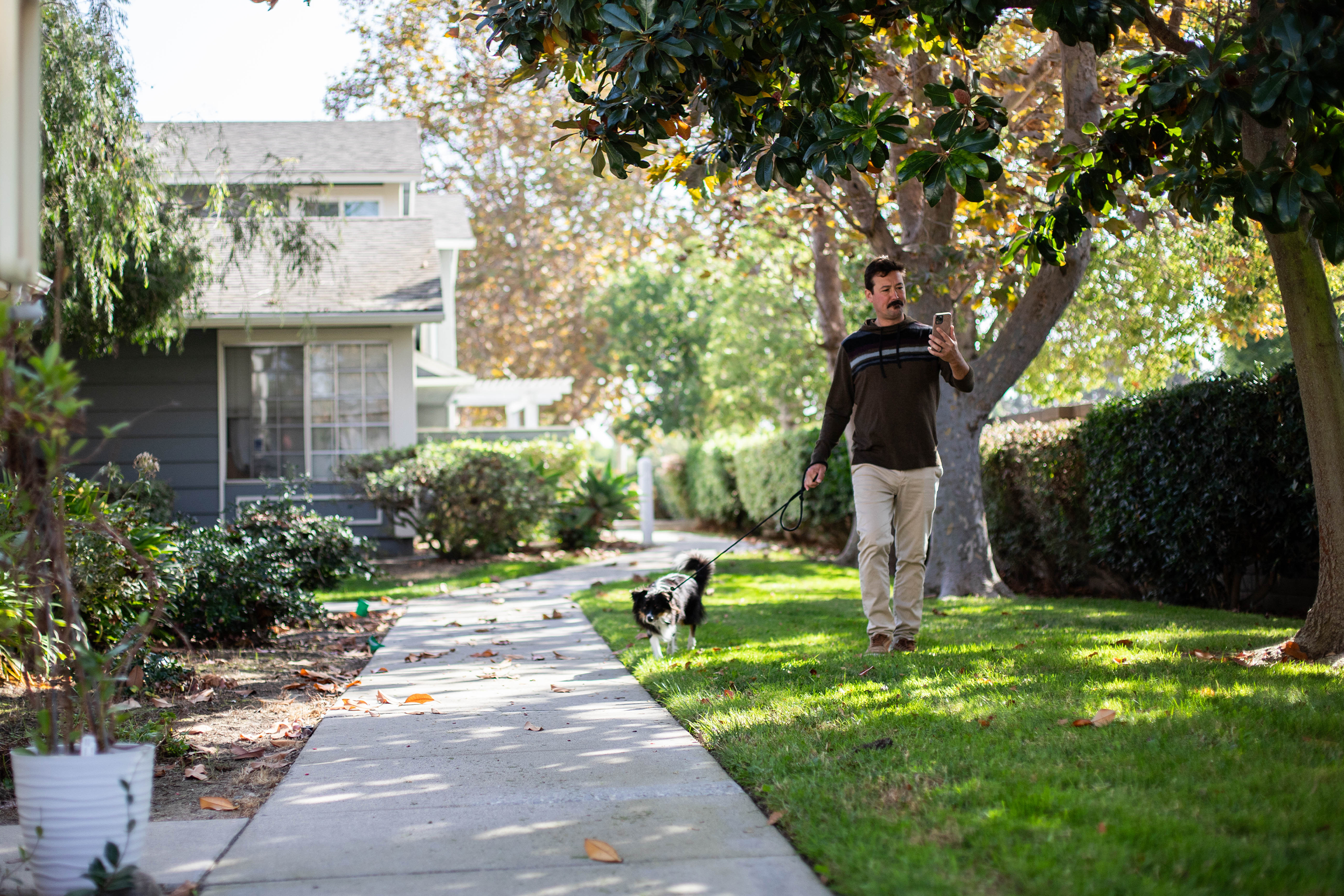 Pet parent using their phone while walking their dog