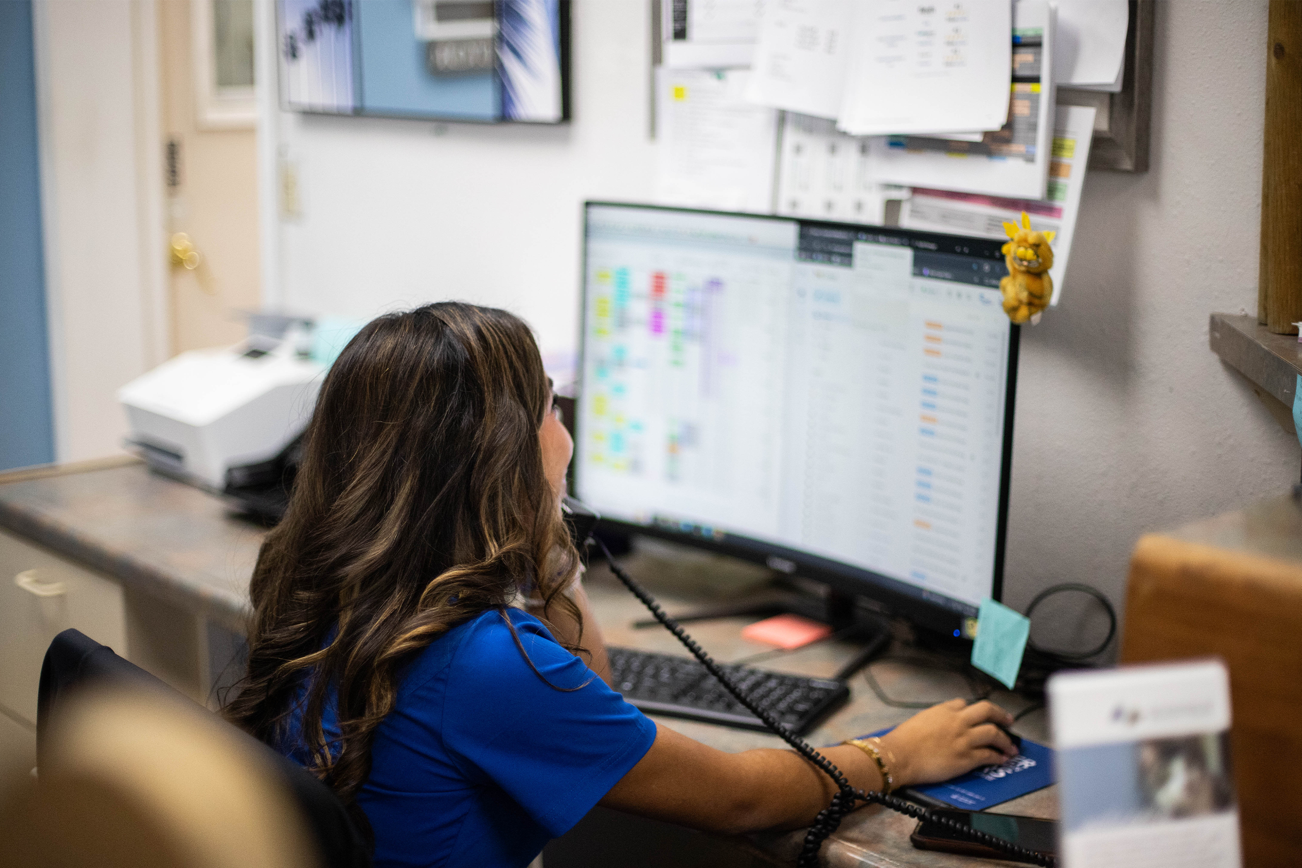 Veterinary CSR using PetDesk at the front desk