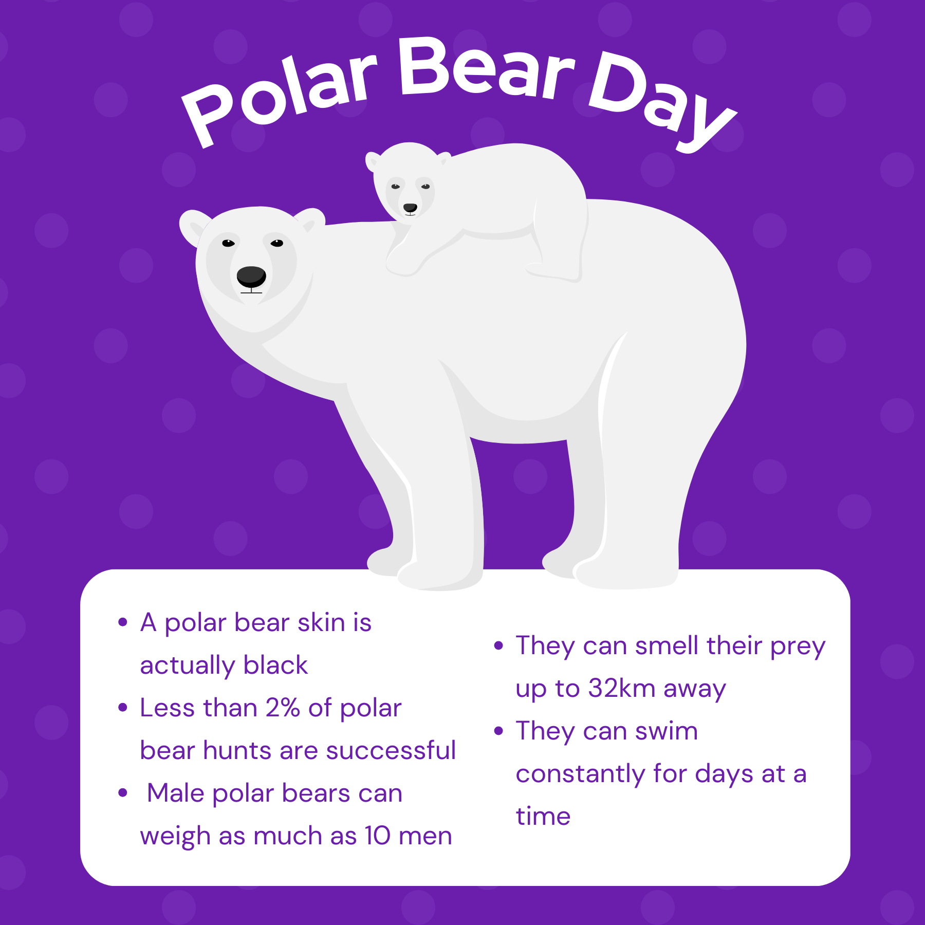 Polar Bear Day Social Media Graphic