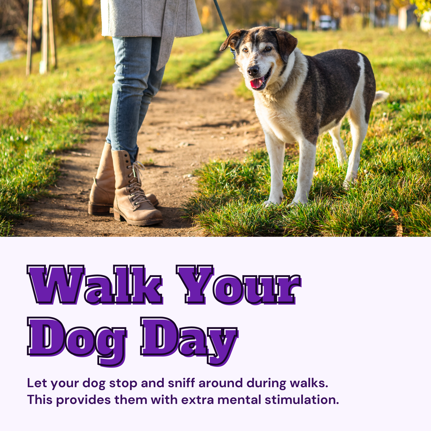 Walk Your Dog Day Social Media Graphic