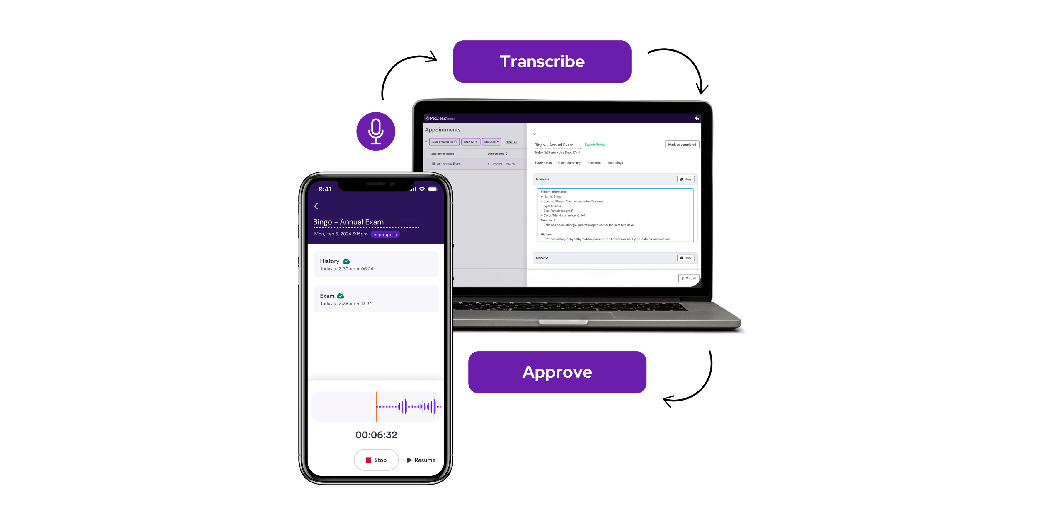 PetDesk Scribe Mockup