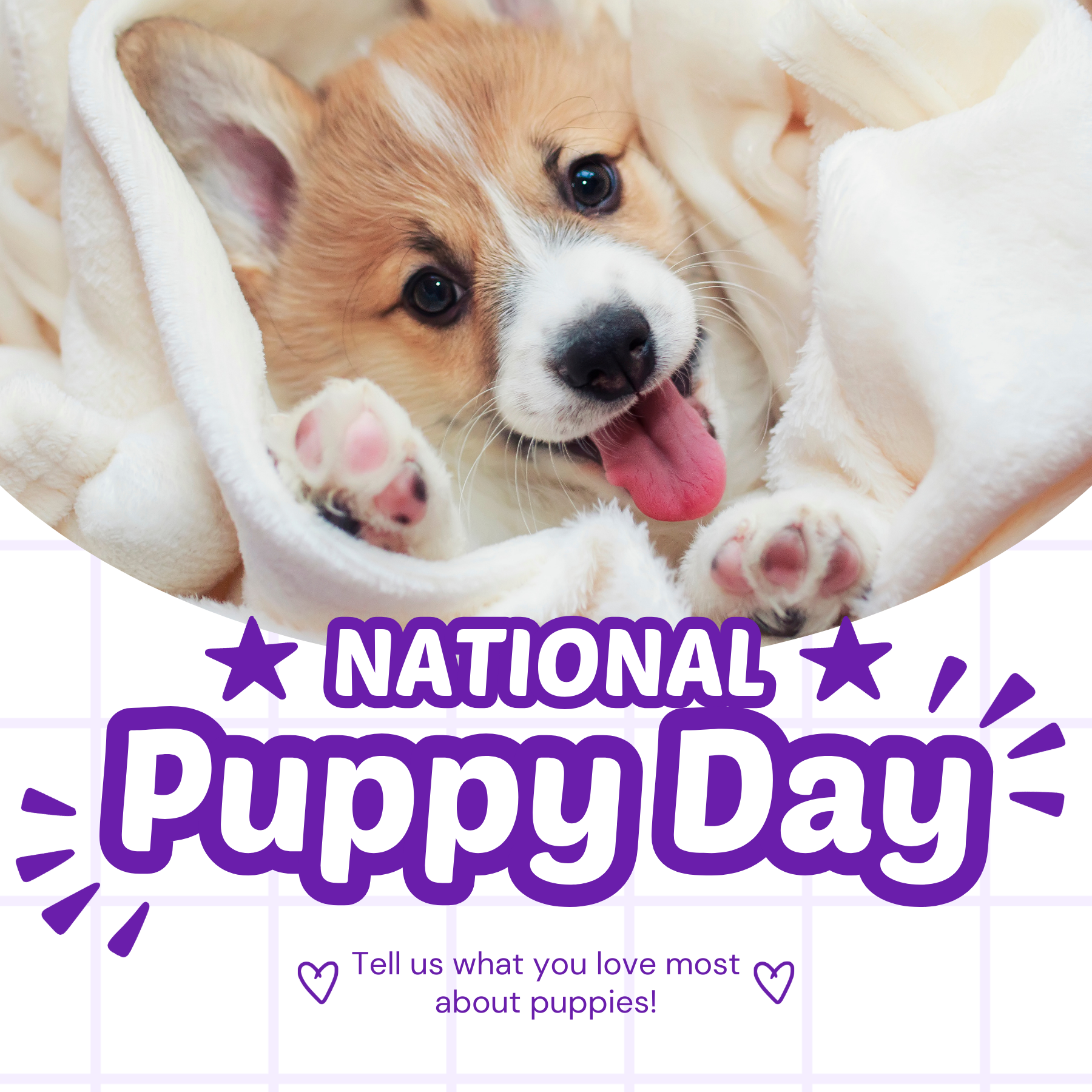 National Puppy Day Social Graphic