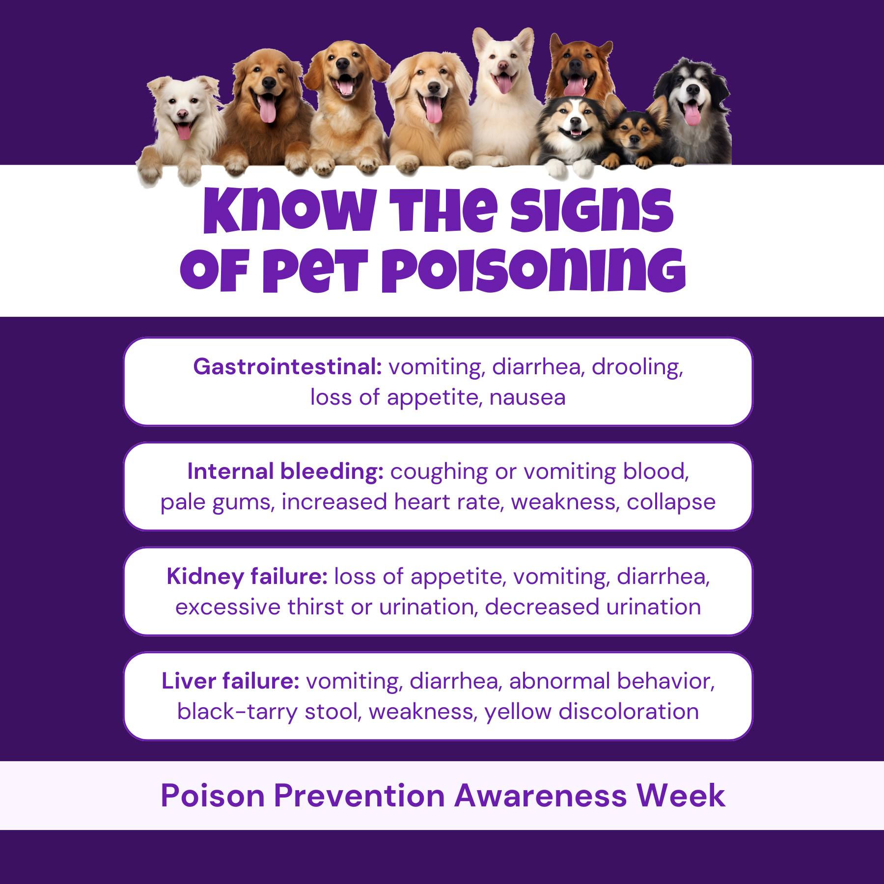 Know the signs of pet poisoning social graphics 