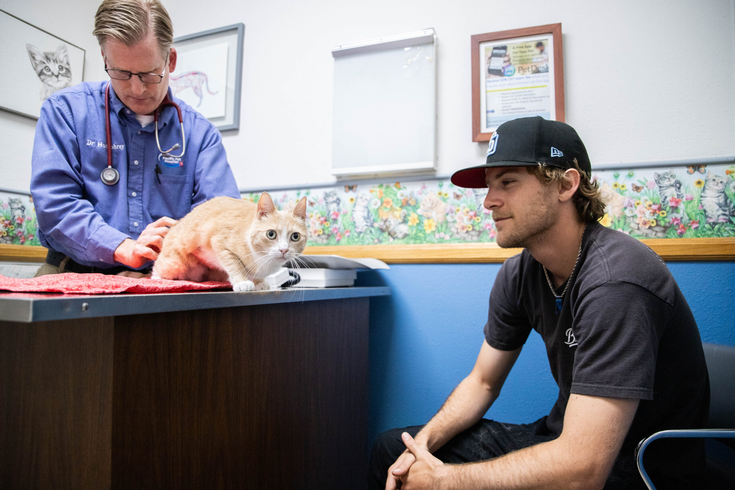 Veterinarian examining a cat while chatting with client