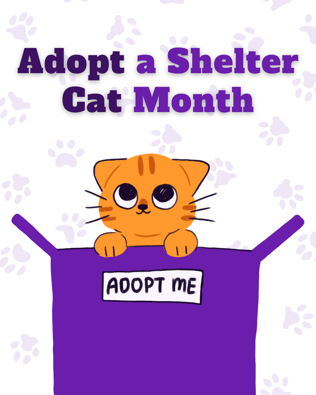 Adopt a shelter cat month