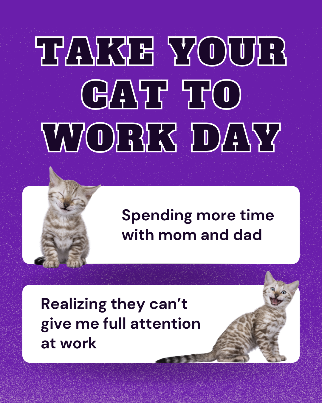 Take your cat to work day social post
