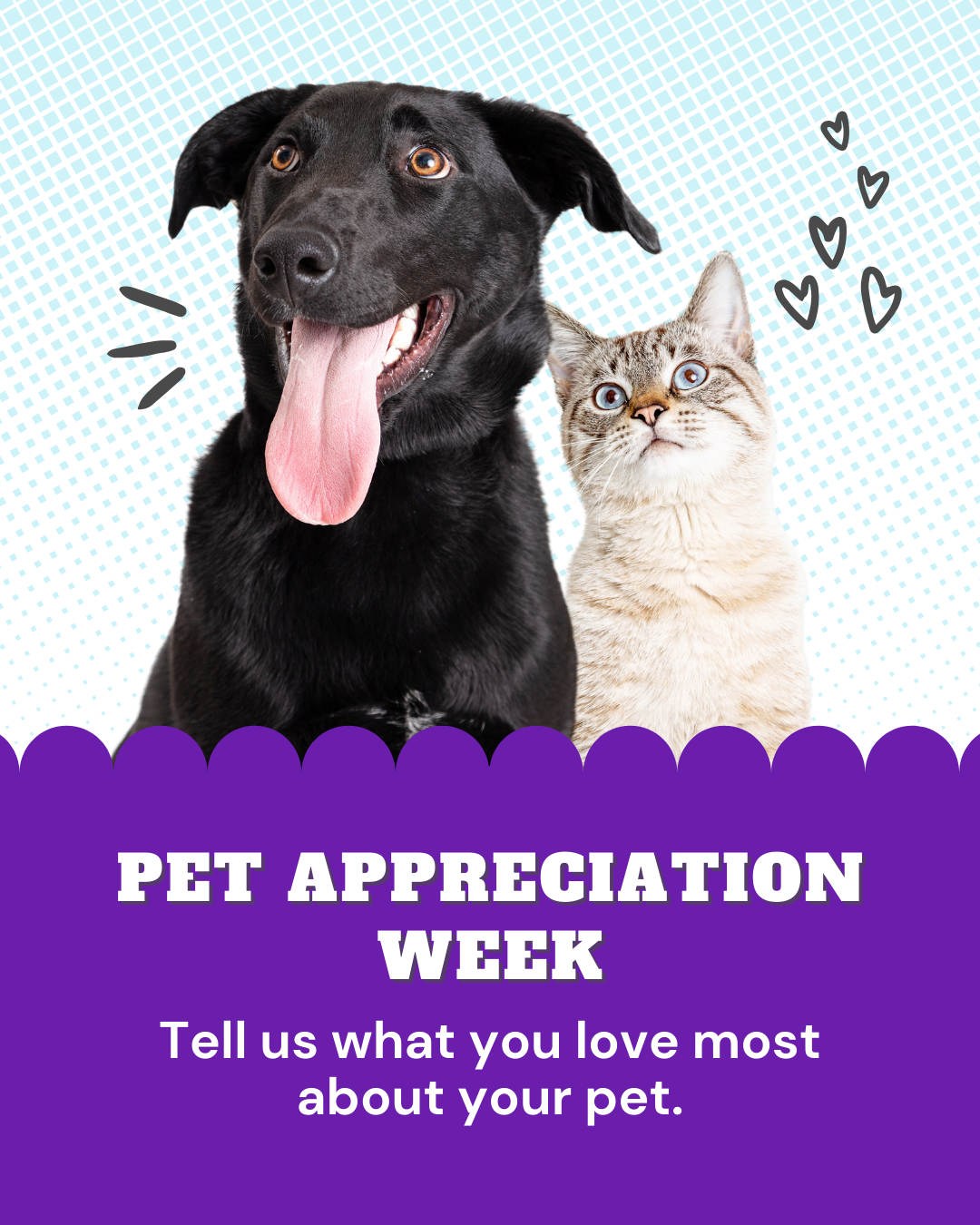 Pet appreciation week graphic