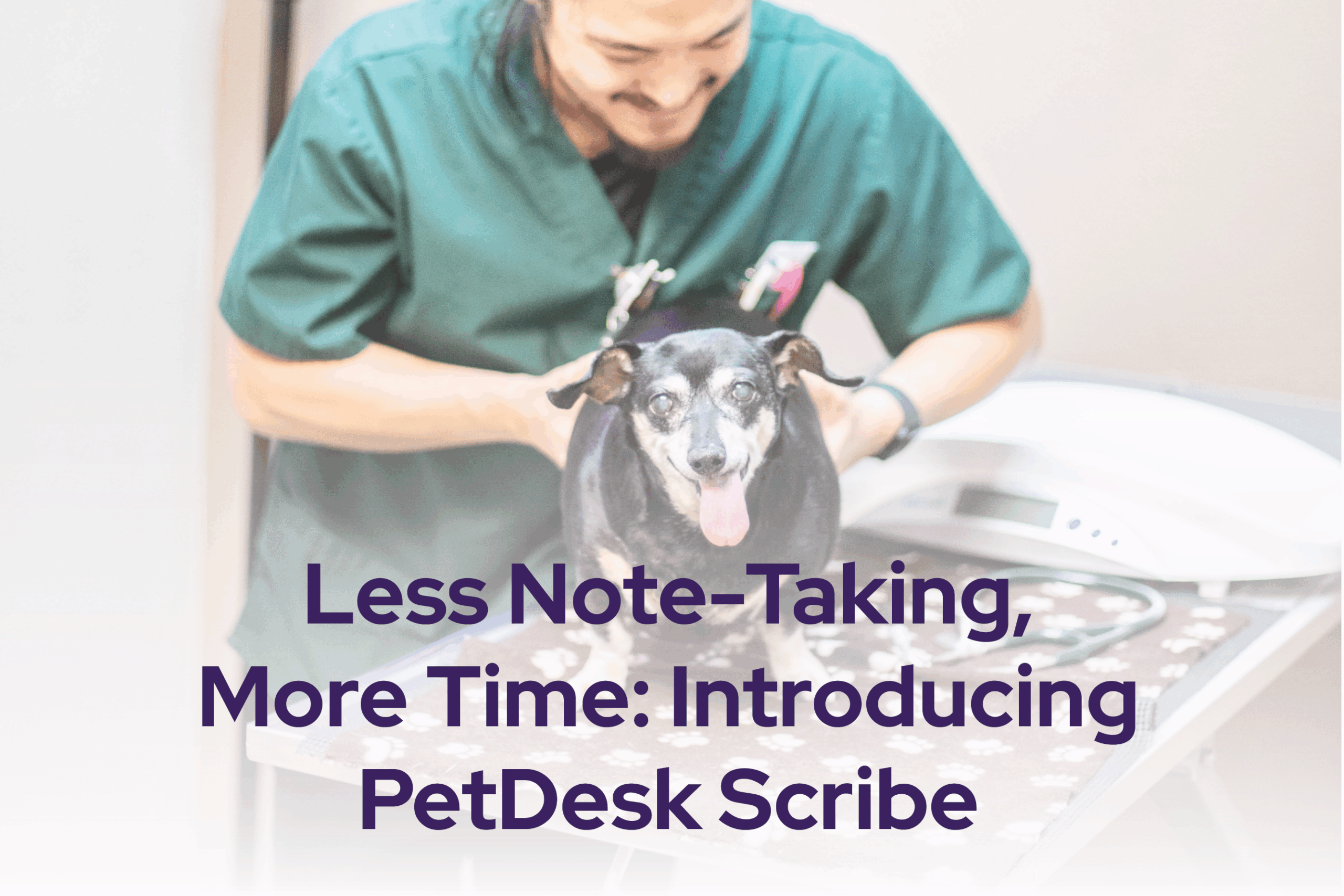 Less Note-Taking, More Time: Introducing PetDesk Scribe<br />