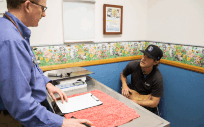 How to talk to pet parents about pet insurance: essential tips for veterinarians