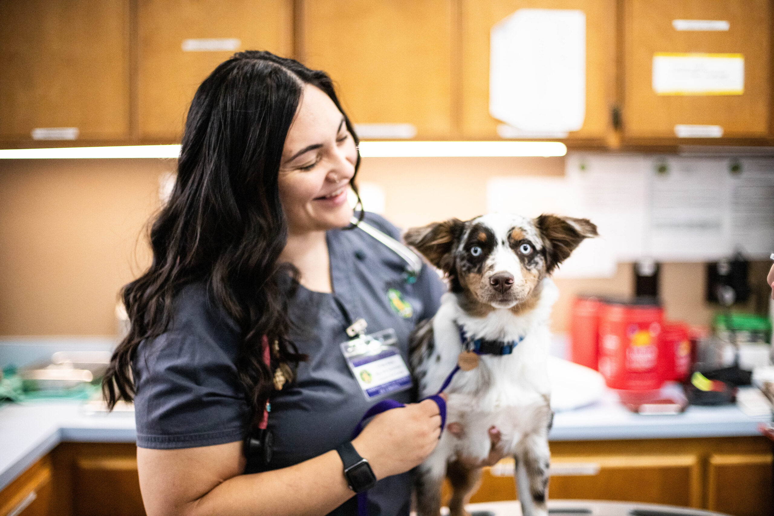 Vet tech happily holding a puppy