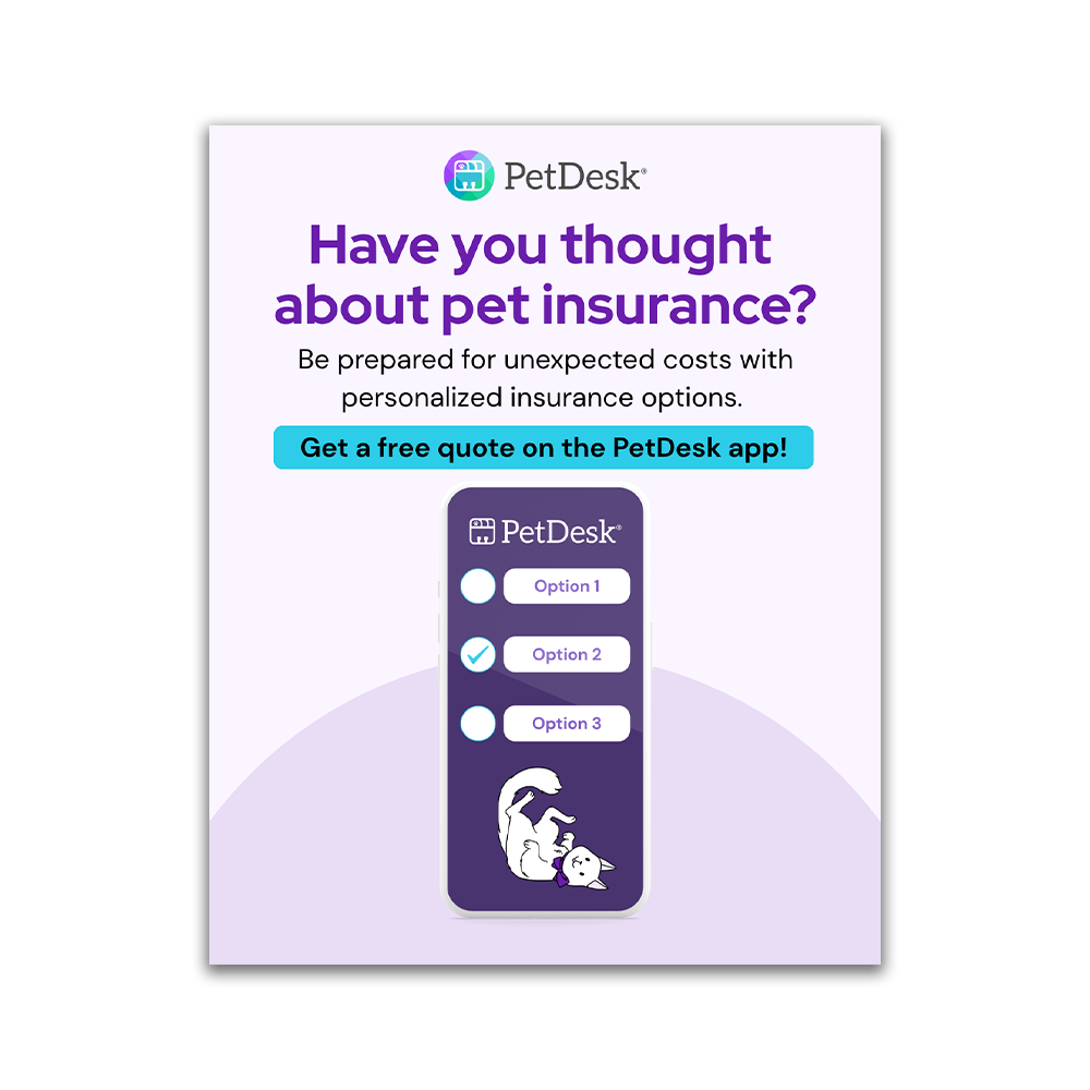Pet Insurance Instagram Graphic