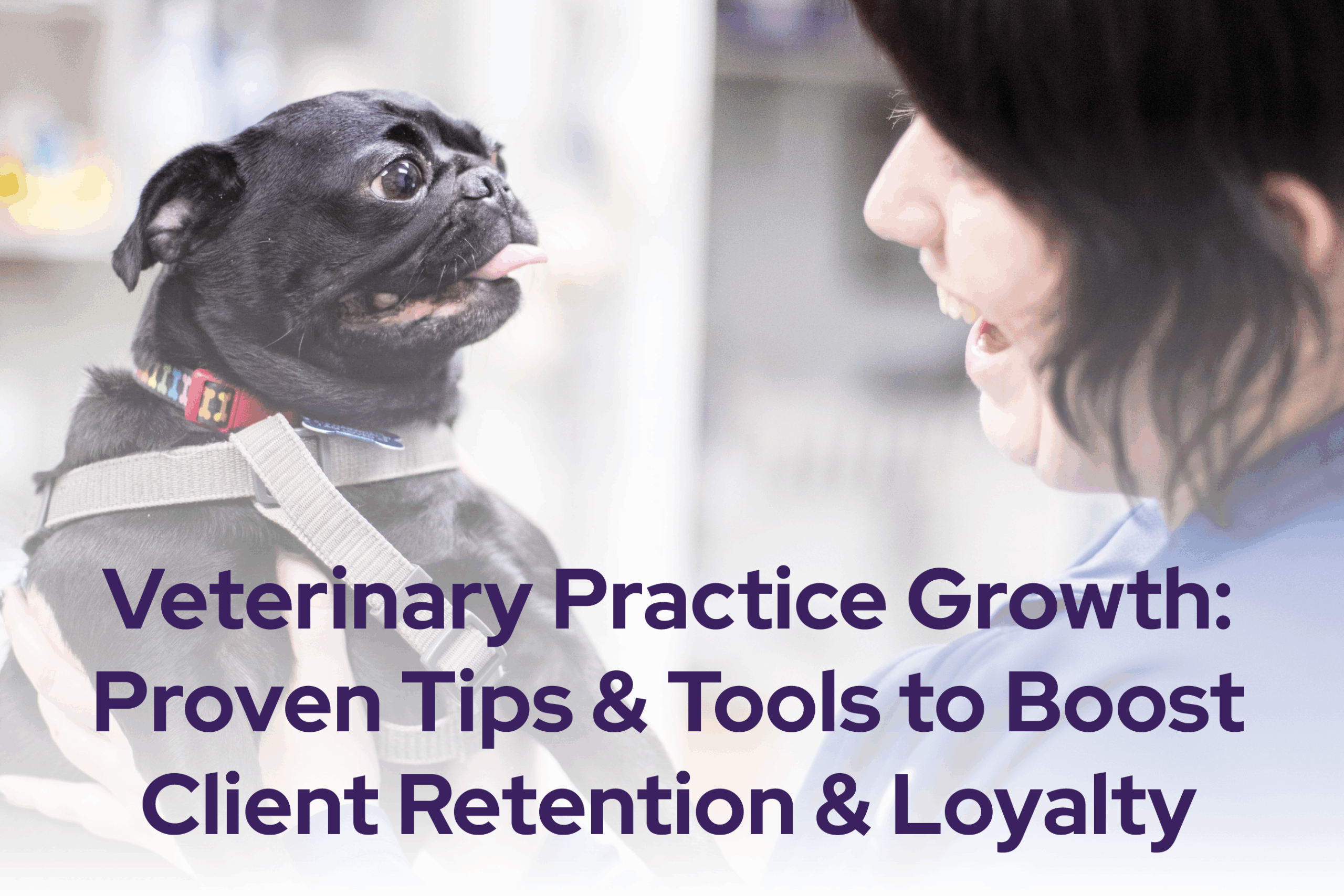 Veterinary Practice Growth: Proven Tips & Tools to Boost Client Retention & Loyalty