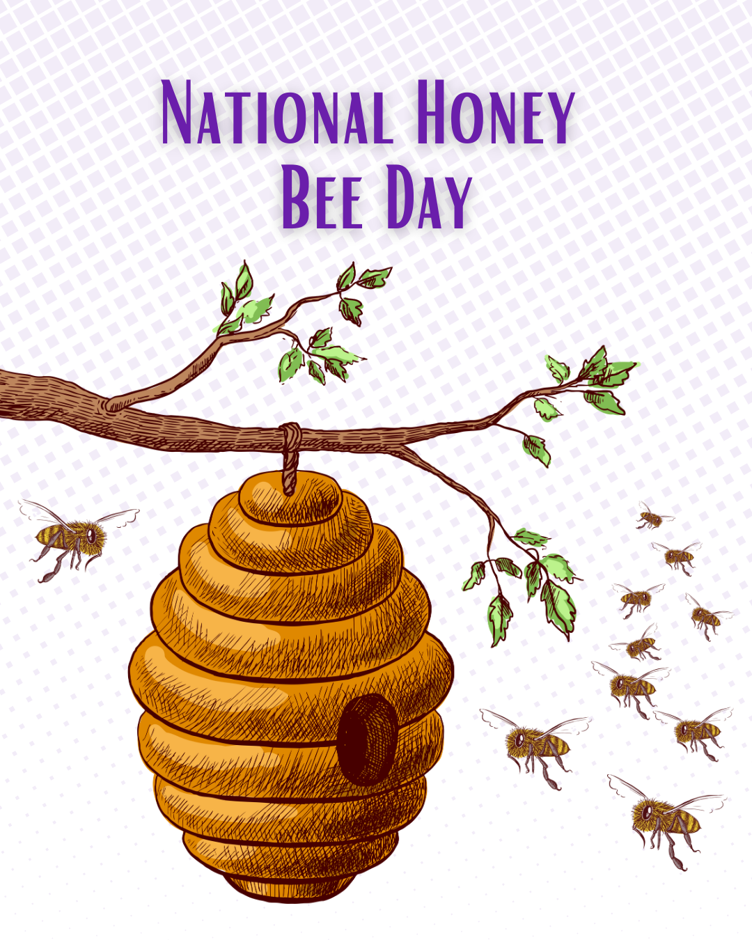 National Honey Bee Day social graphic