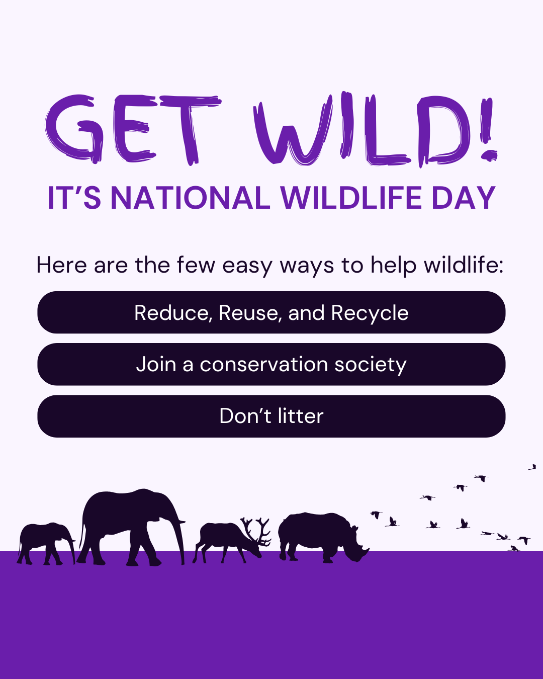 National Wildlife Day Graphic