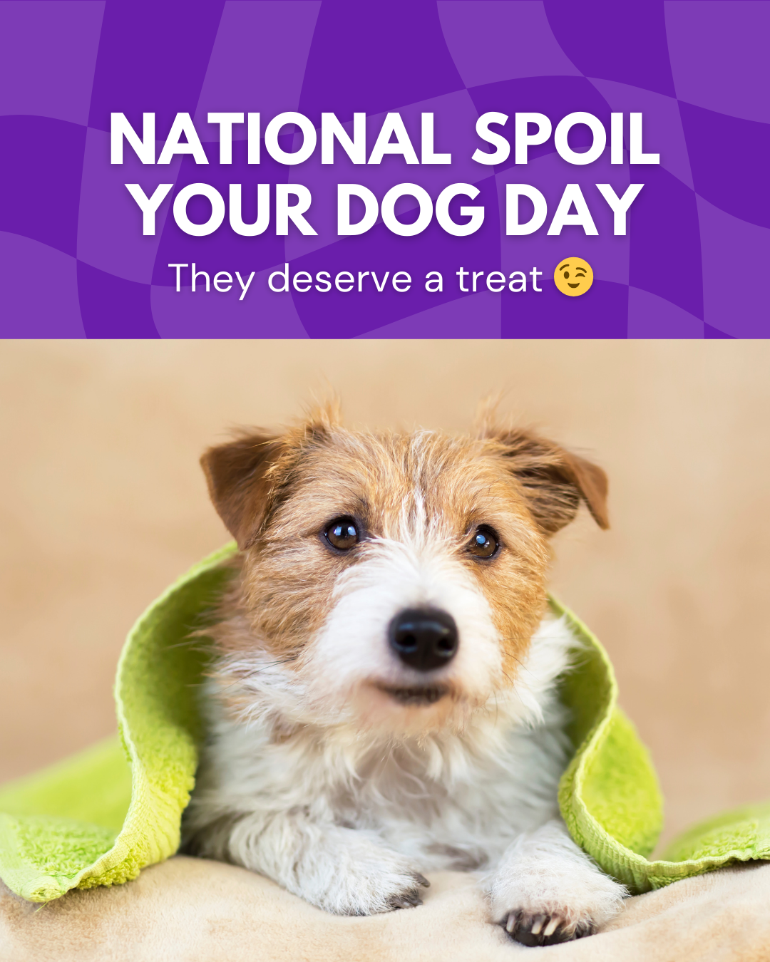 National Spoil Your Dog Day Social Graphic