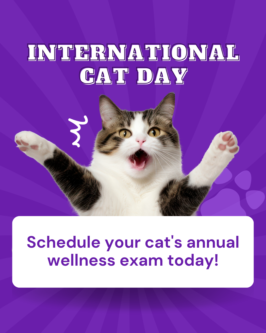International Cat Day Social Graphic