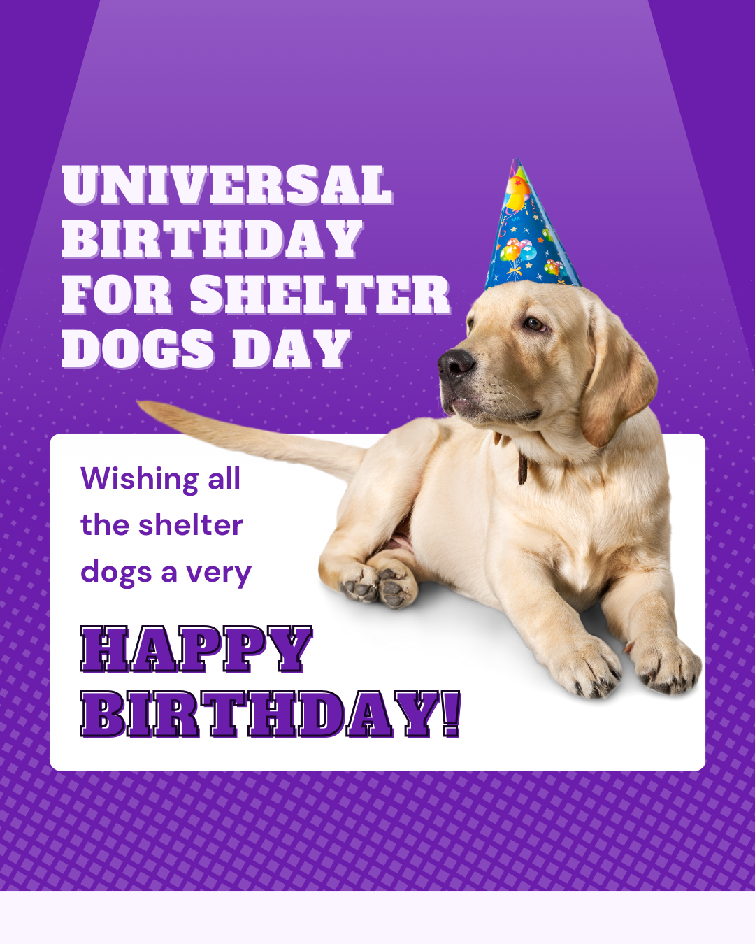 Universal Birthday for Shelter Dogs Day social graphic